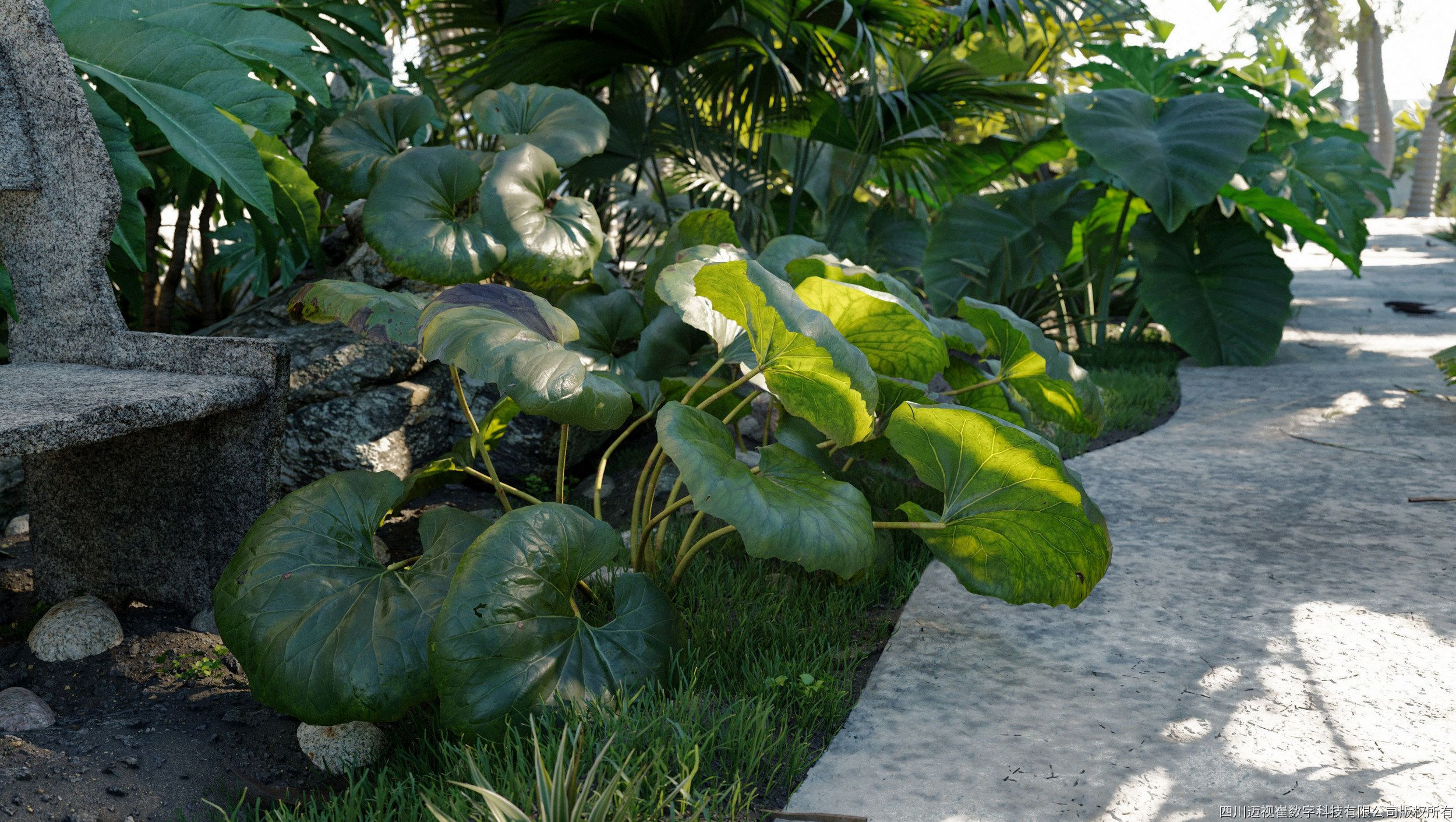 Maxtree Plant Models Vol 18 - Mesh 3D model_3