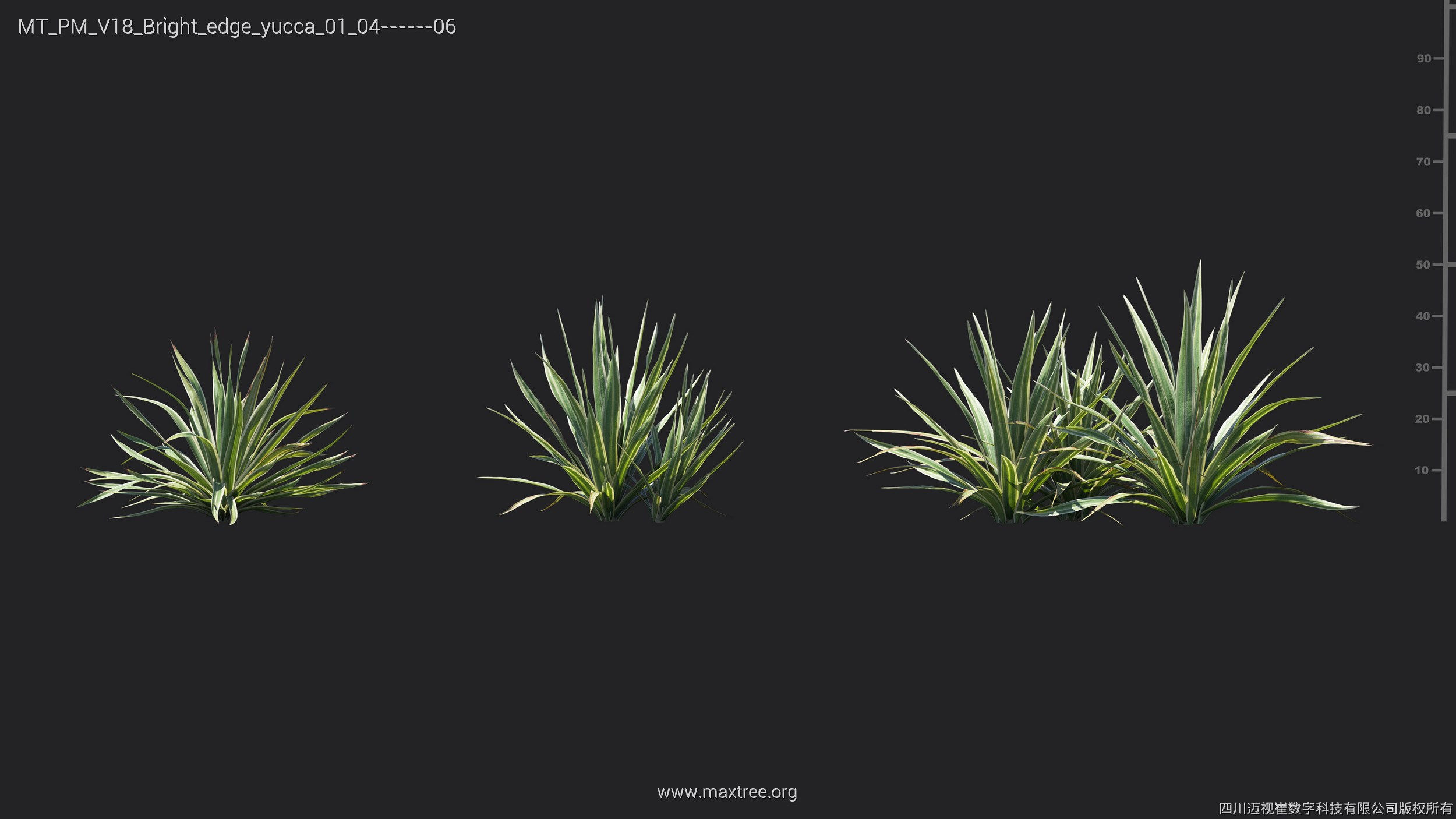 Maxtree Plant Models Vol 18 - Mesh 3D model_8