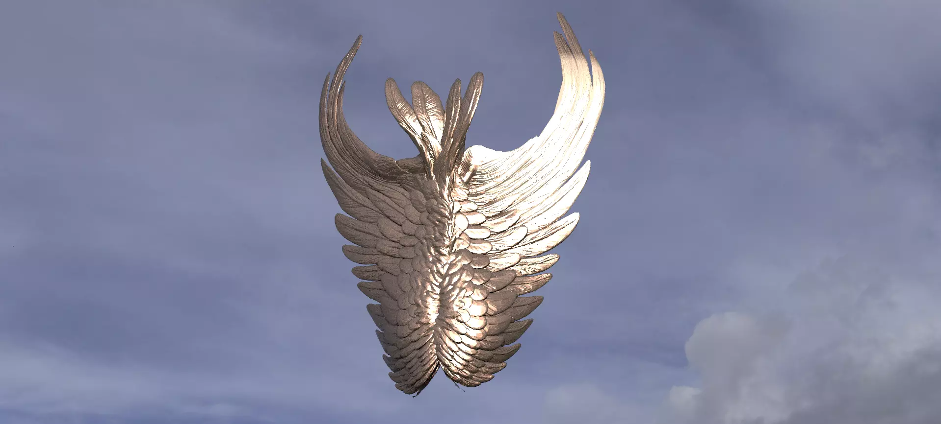 Angel Wing Shield 1  3D model_0