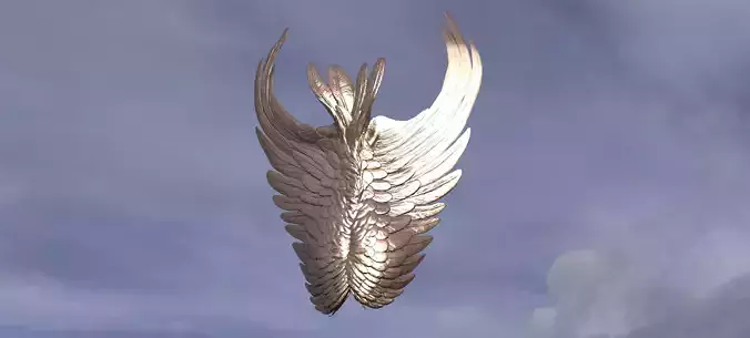 Angel Wing Shield 1  3D model