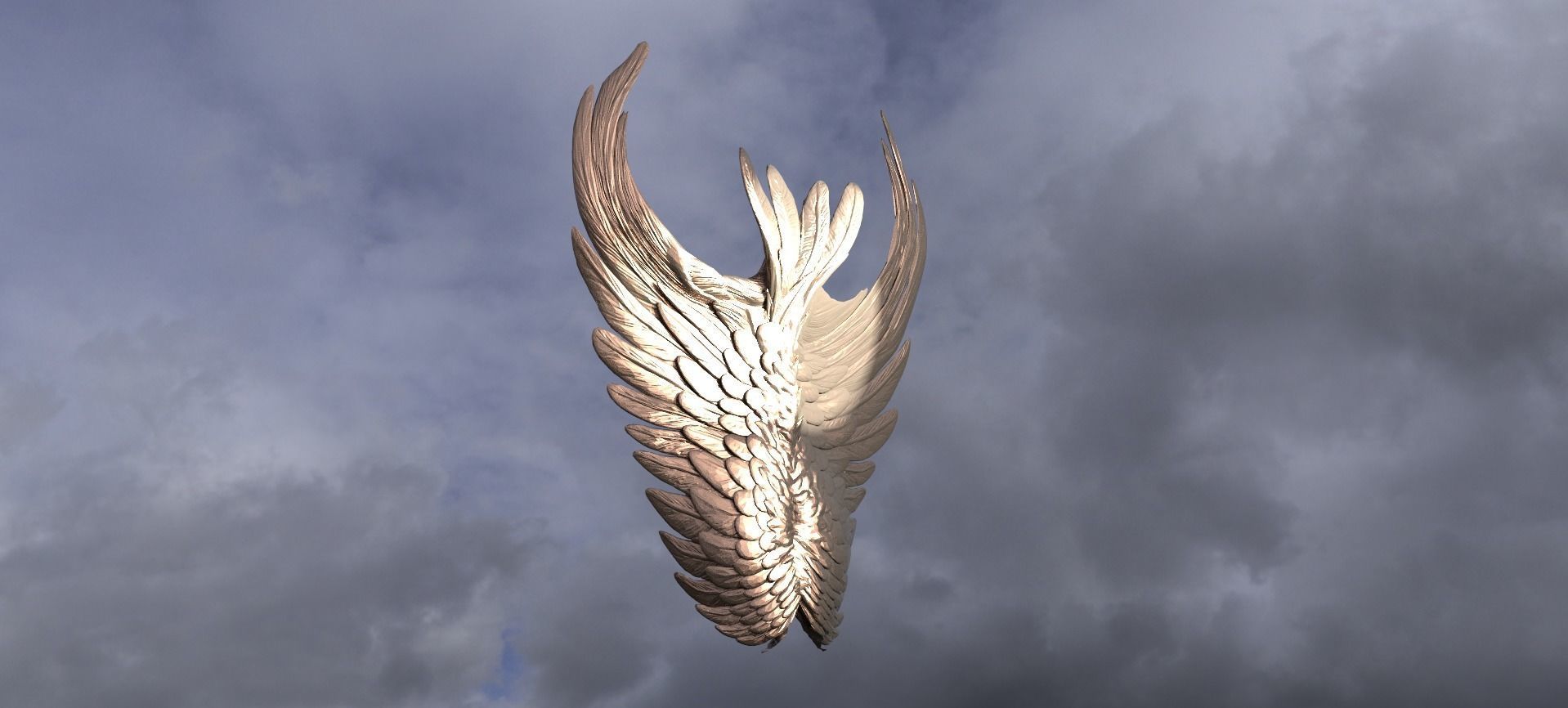 Angel Wing Shield 1  3D model_1