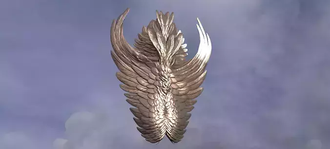Angel Wing Shield 2 3D model