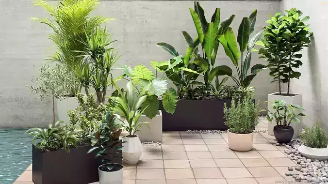 Maxtree Plant Models Vol 19 - Mesh