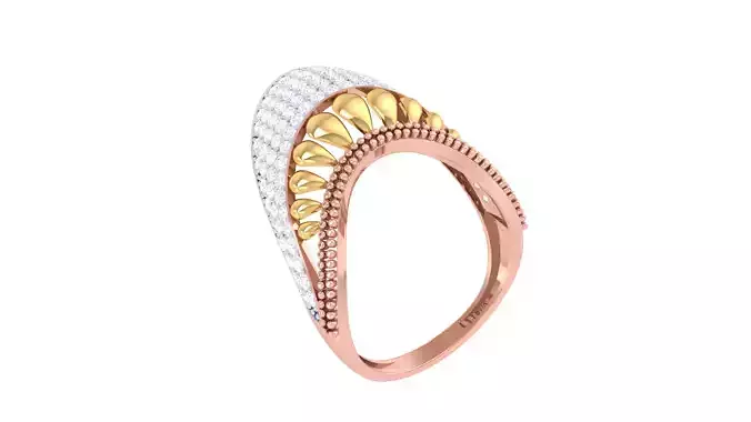 Women Ring 3dm STL OBJ FBX Renders Details