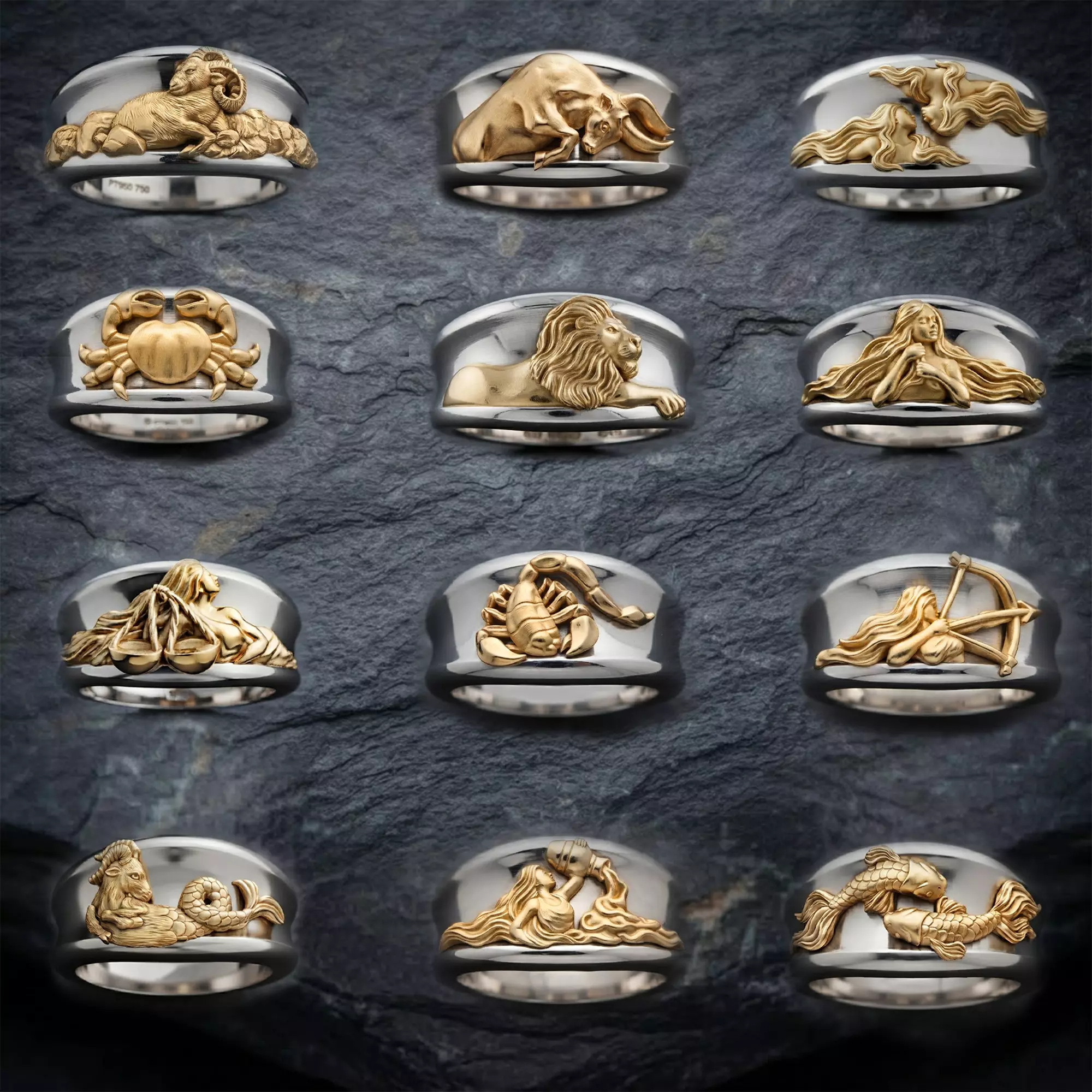 Zodiac Horoscope Rings Set Pack 3D print model