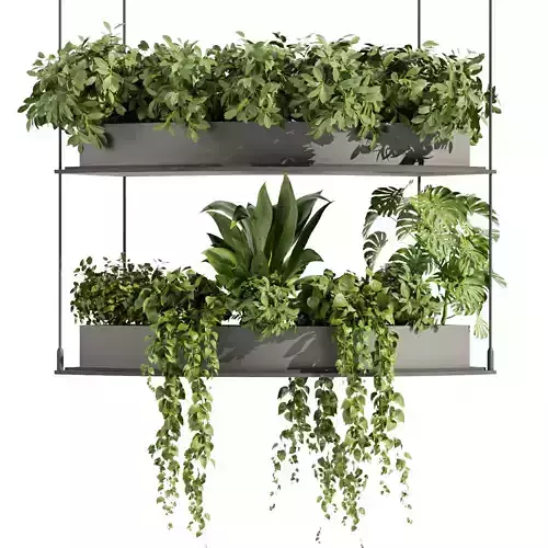 Collection plant vol 475 - palm - pothos - ampelous - hanging  3D model