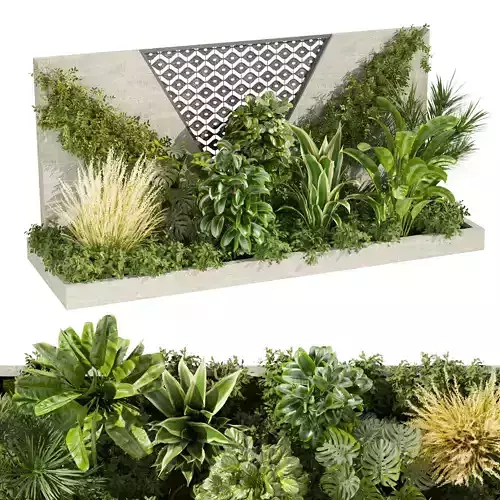 Collection plant vol 476 - garden - ivy - rubber - grass