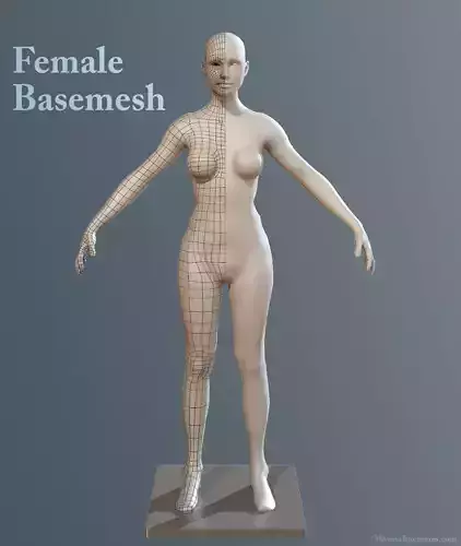 Female Basemesh