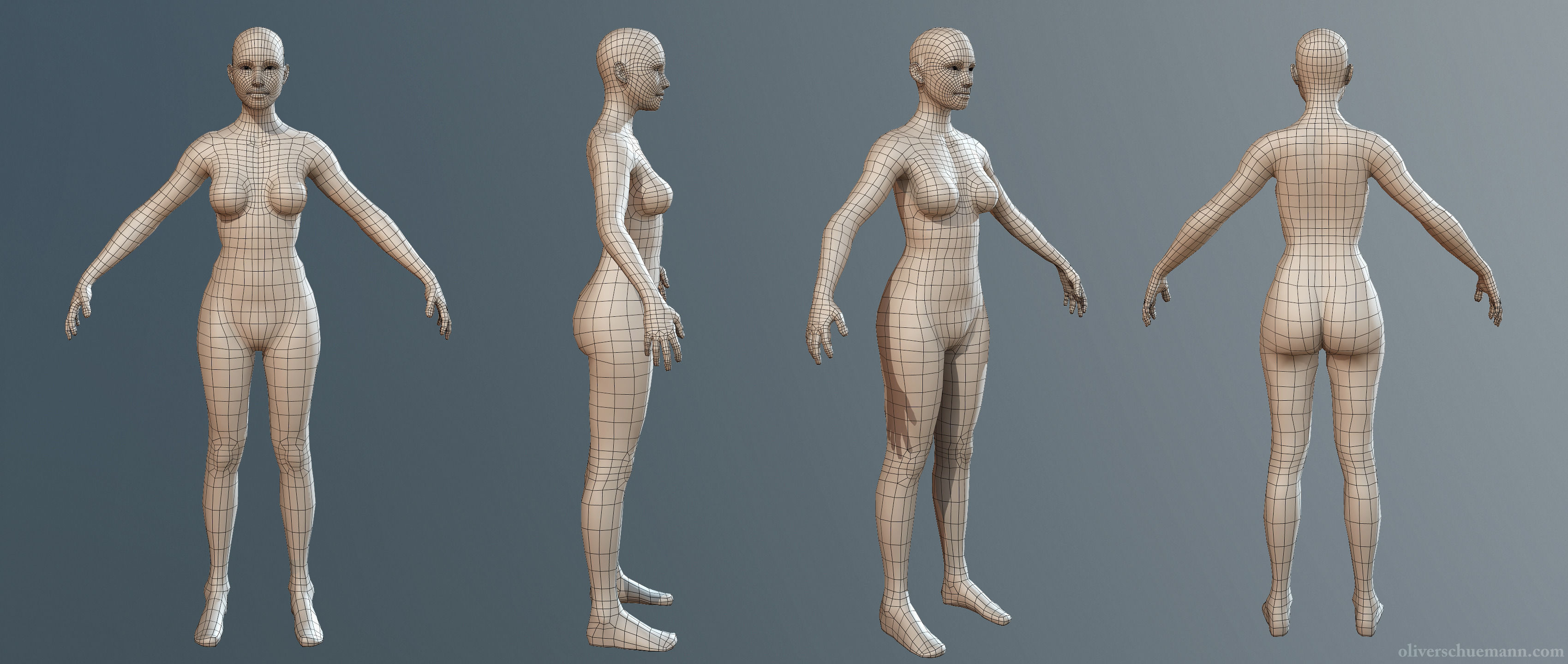 Female Basemesh 3D model_1