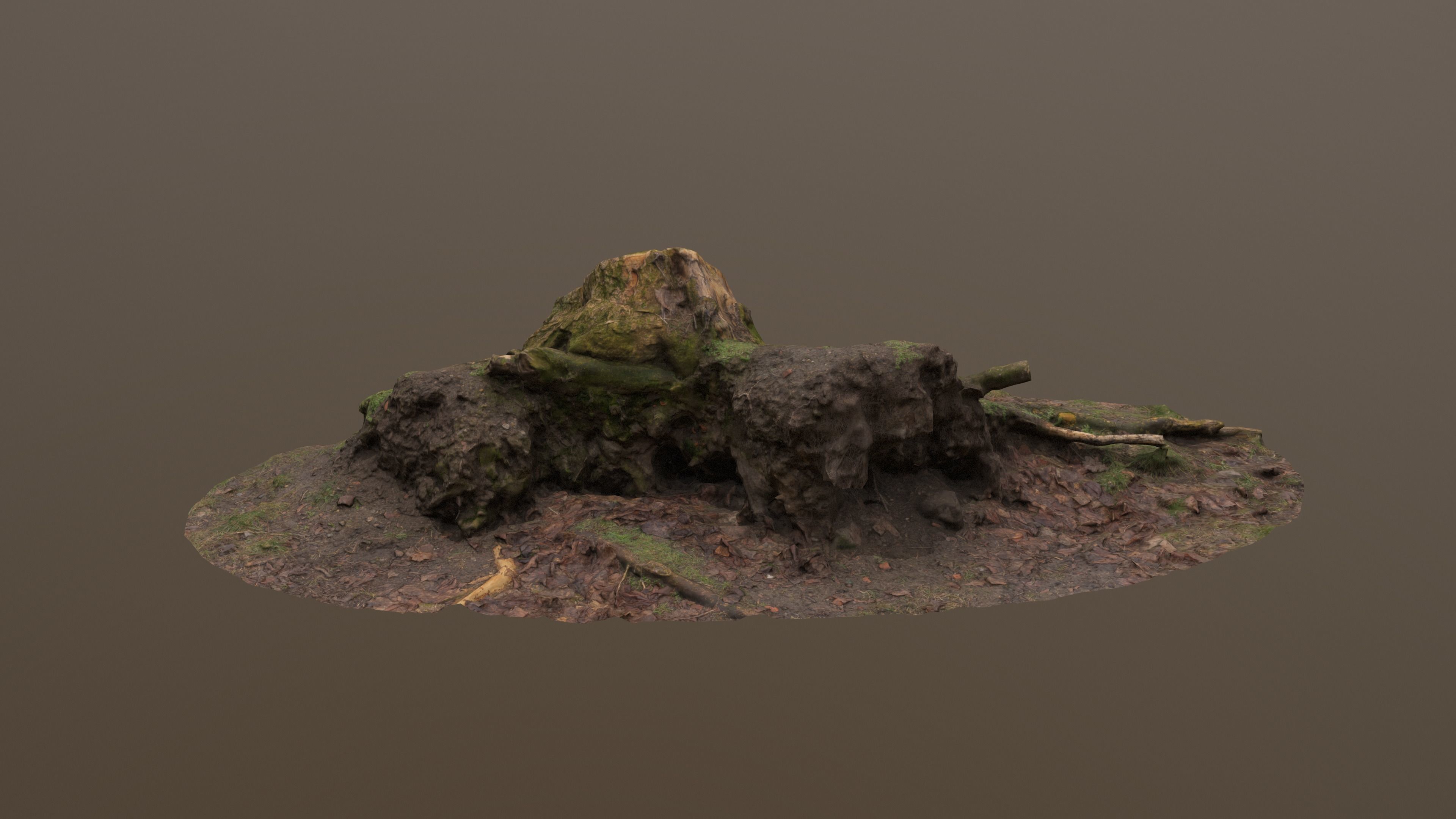 Fallen Tree Trunk Low-poly 3D model_7