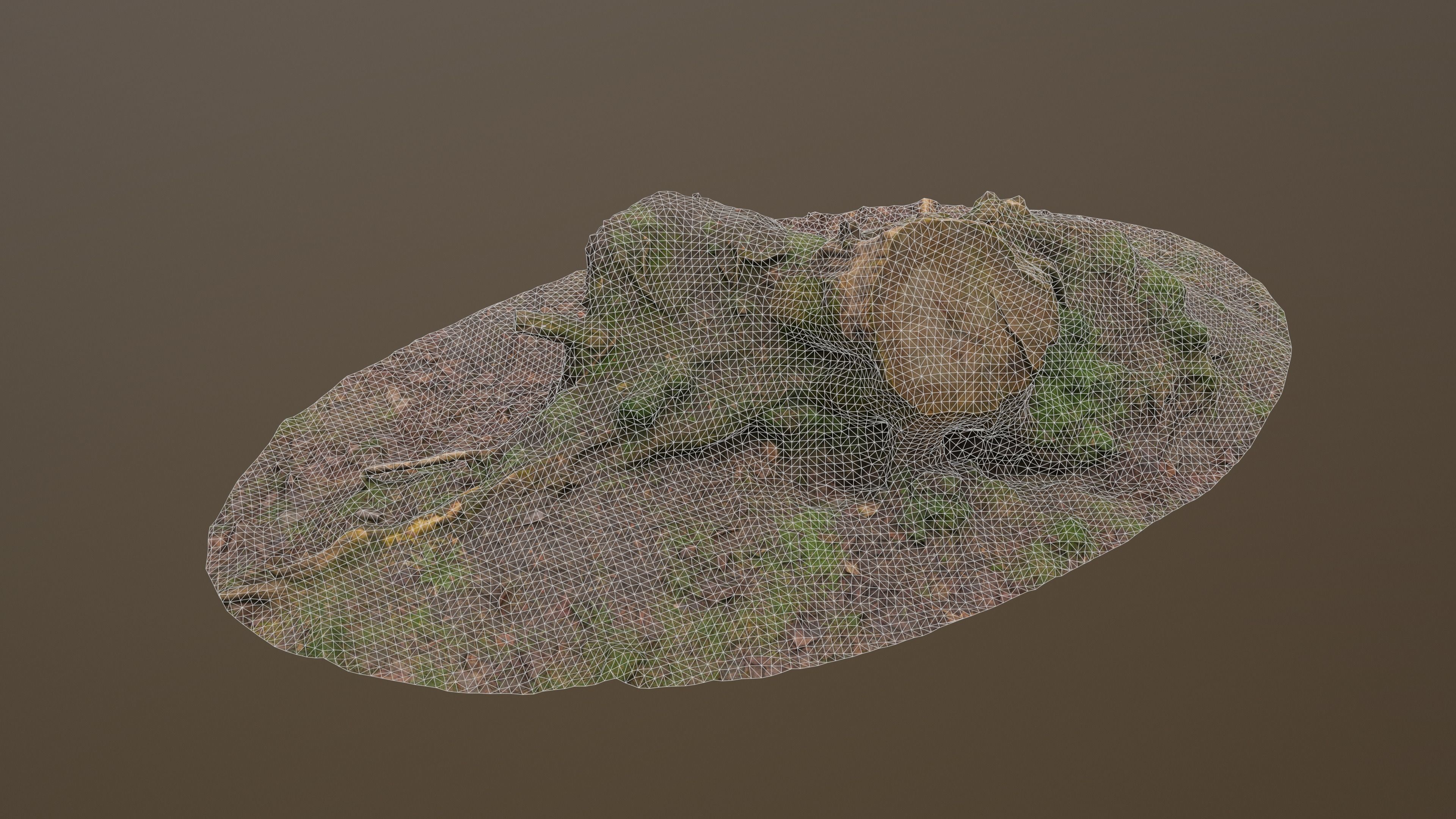 Fallen Tree Trunk Low-poly 3D model_16