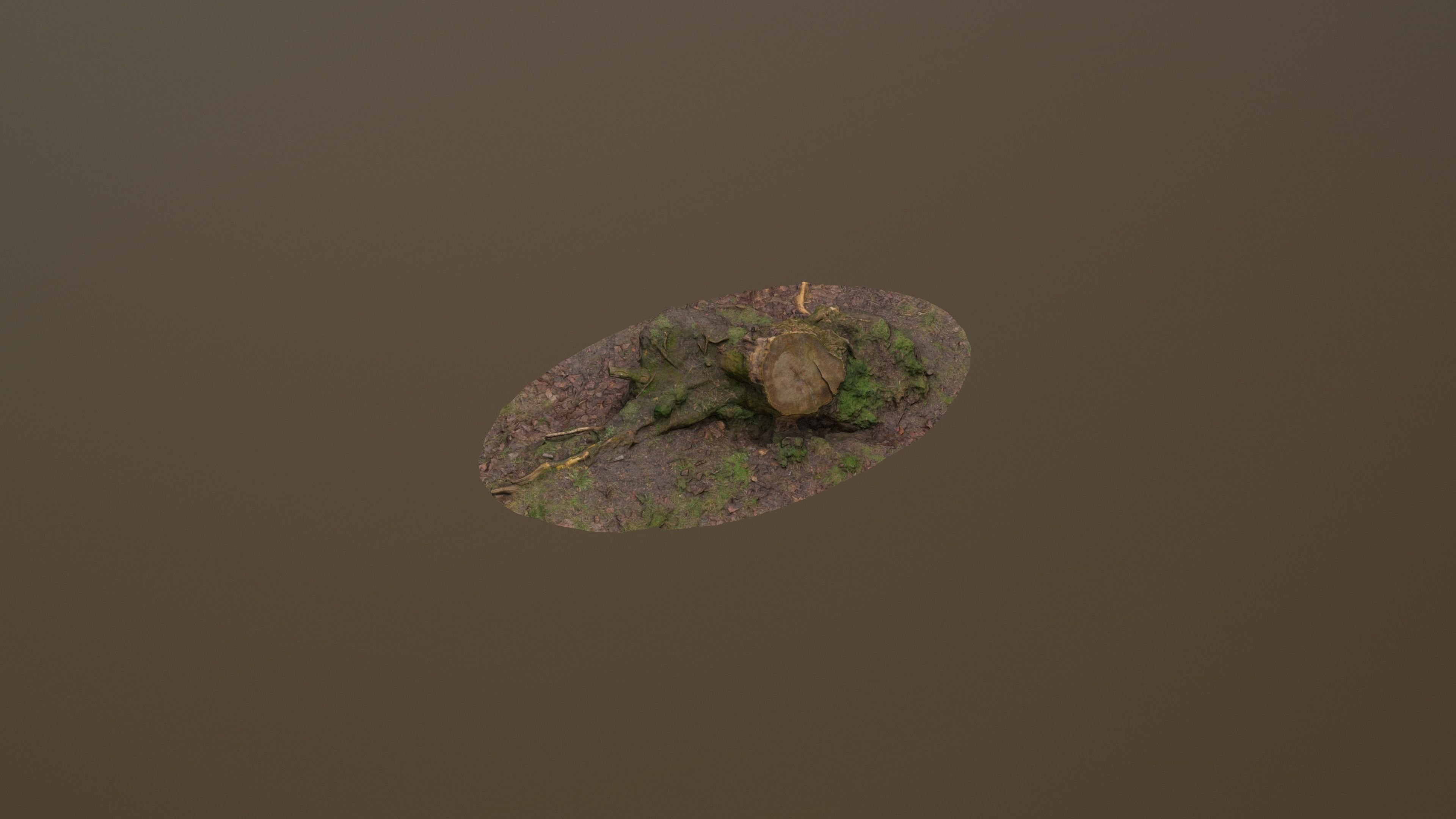 Fallen Tree Trunk Low-poly 3D model_9