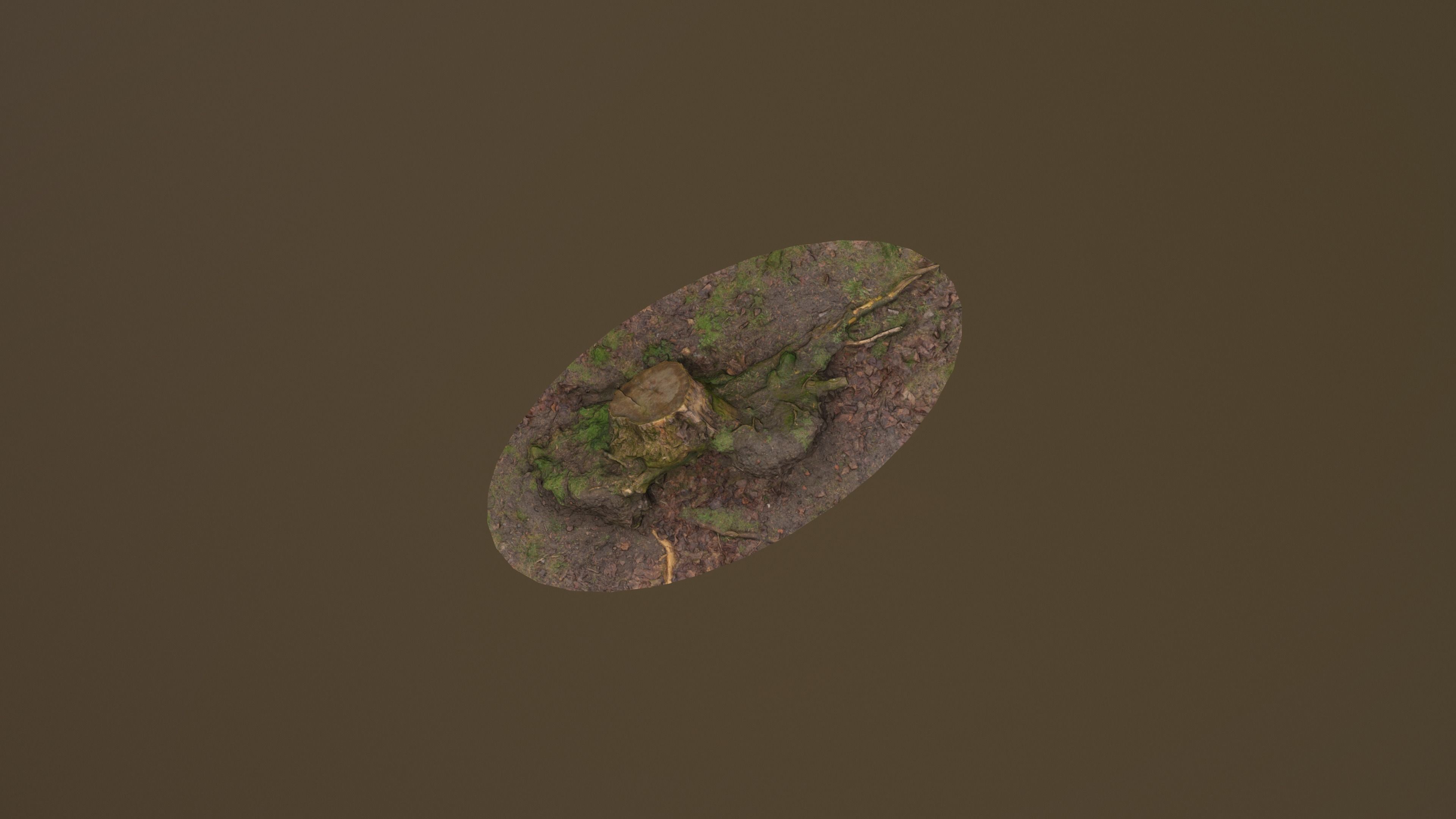 Fallen Tree Trunk Low-poly 3D model_11