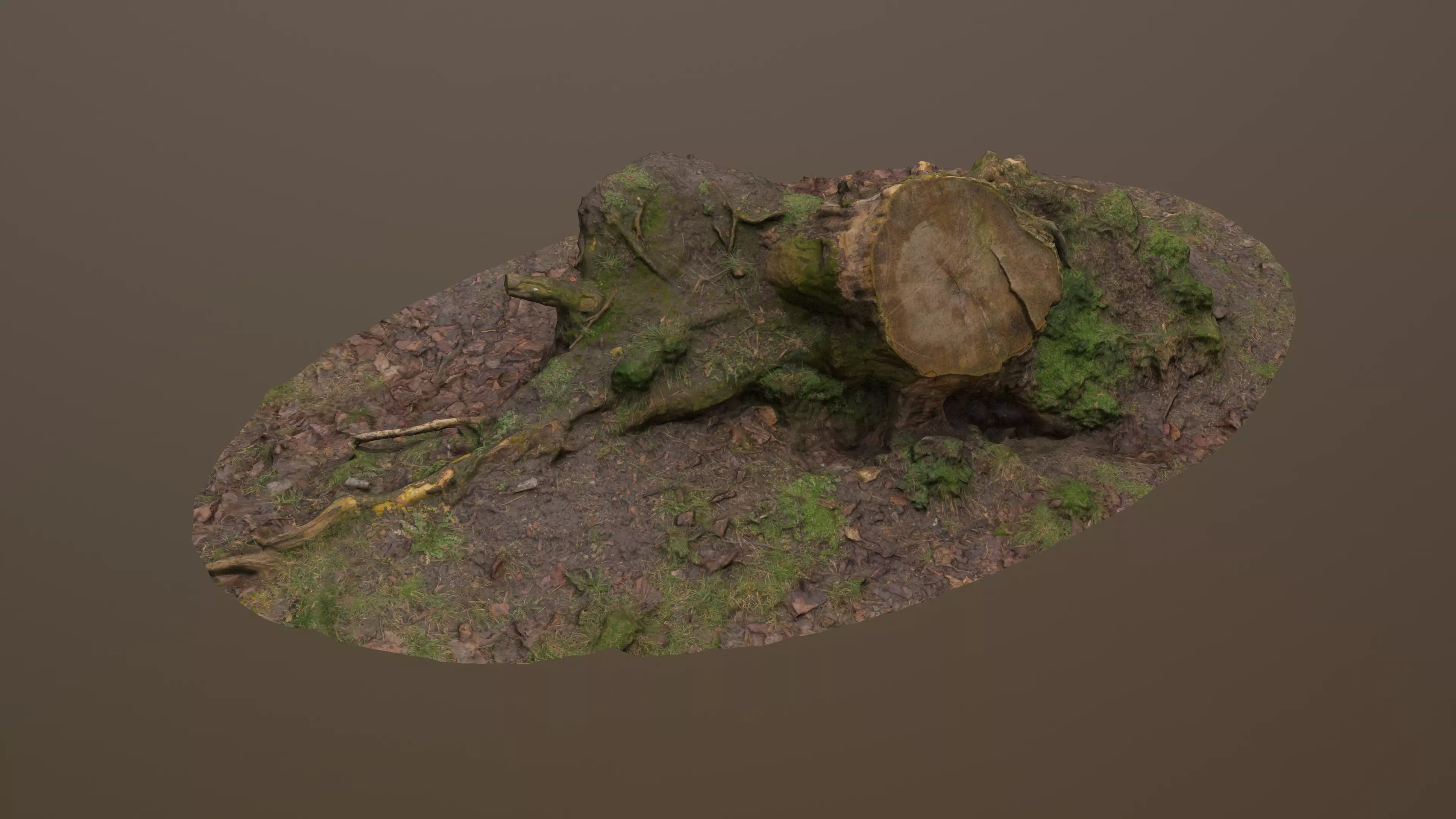 Fallen Tree Trunk Low-poly 3D model_0