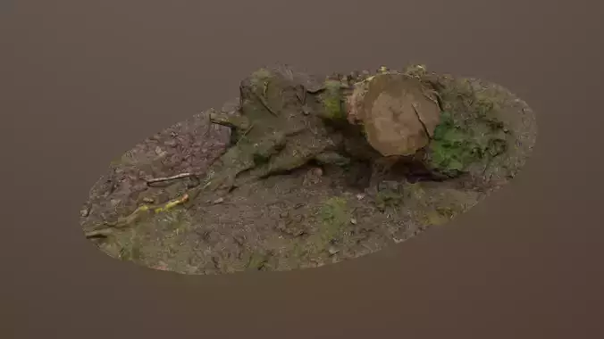 Fallen Tree Trunk Low-poly 3D model