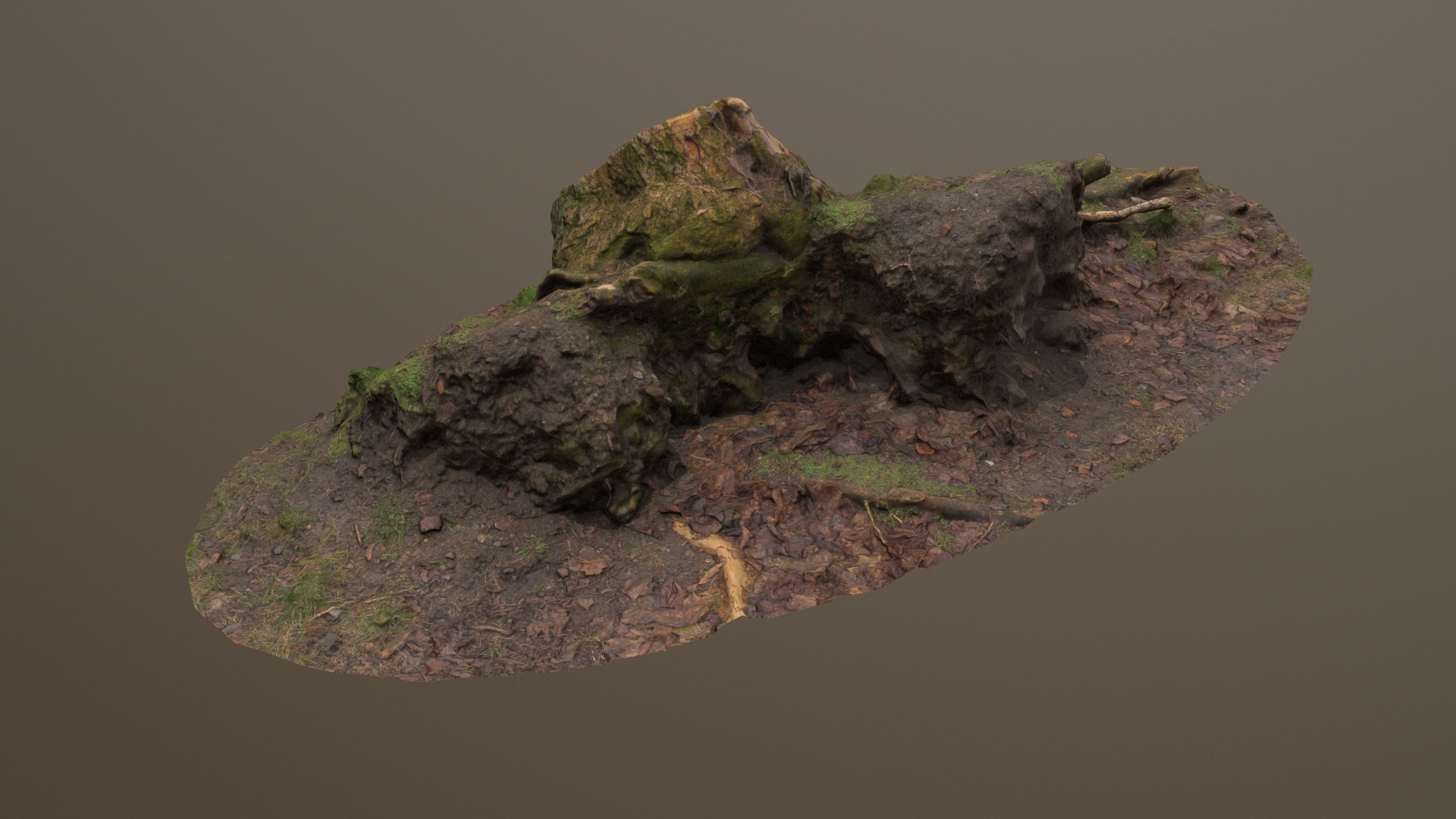 Fallen Tree Trunk Low-poly 3D model_4