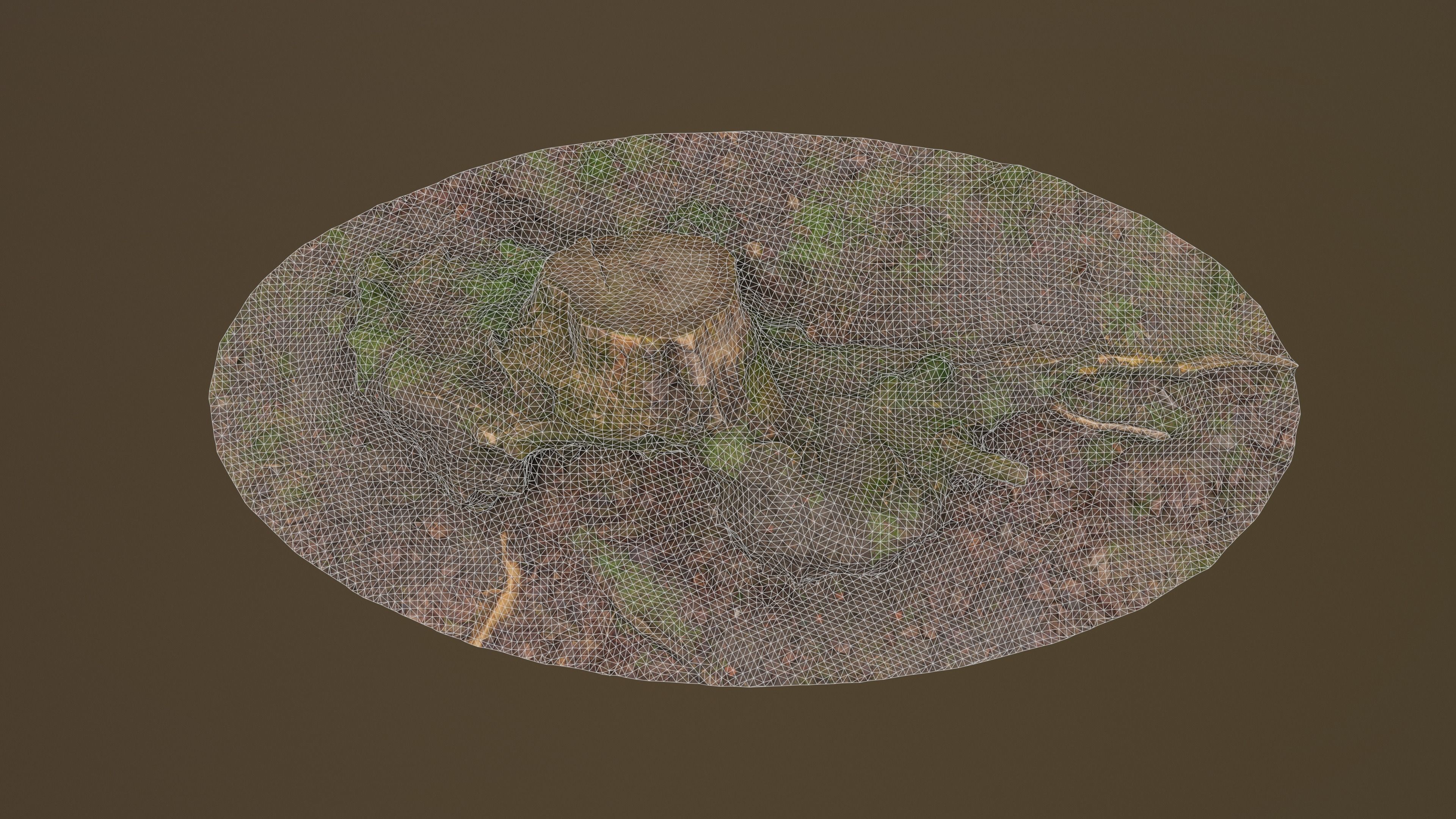 Fallen Tree Trunk Low-poly 3D model_18