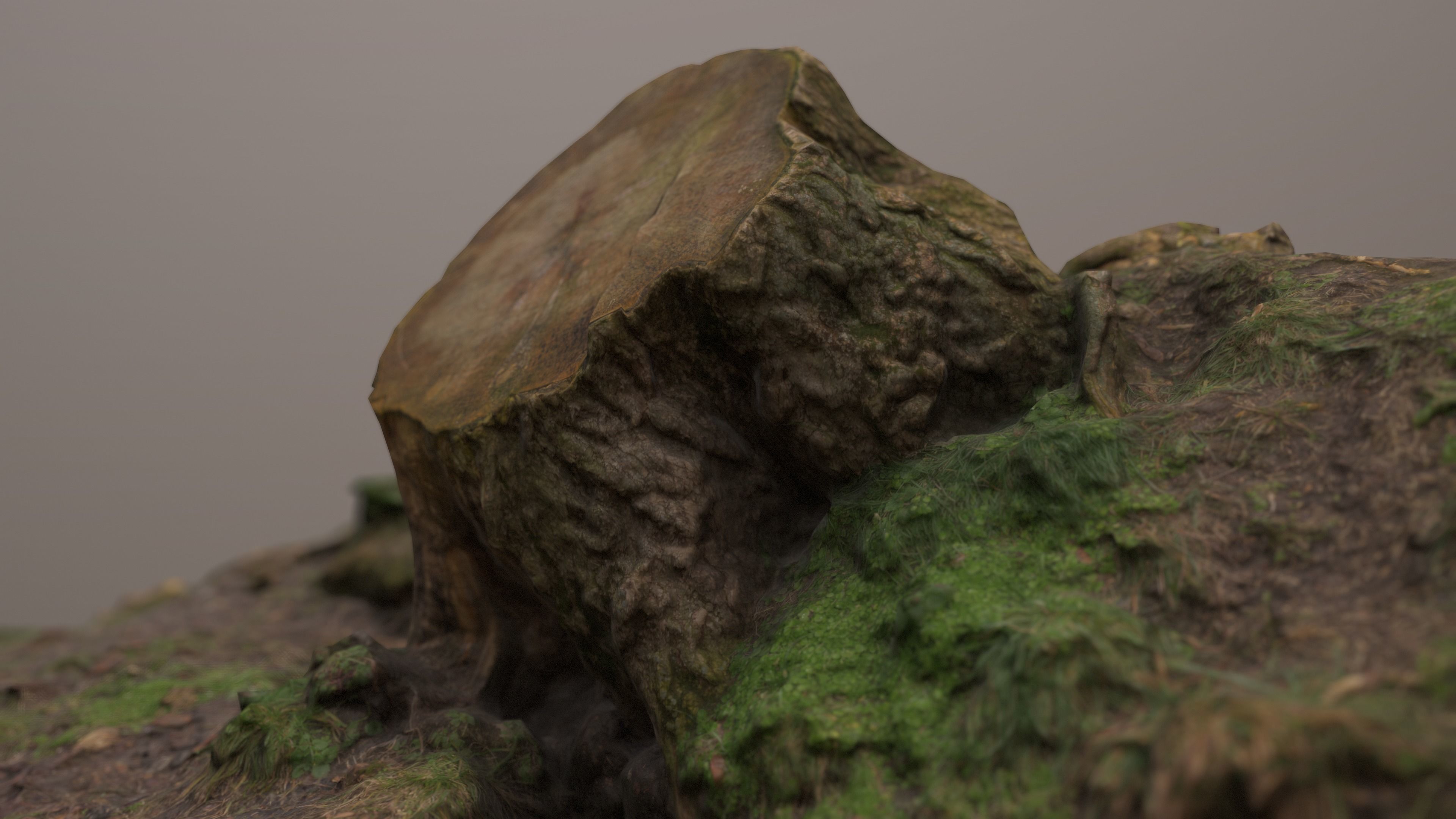 Fallen Tree Trunk Low-poly 3D model_2