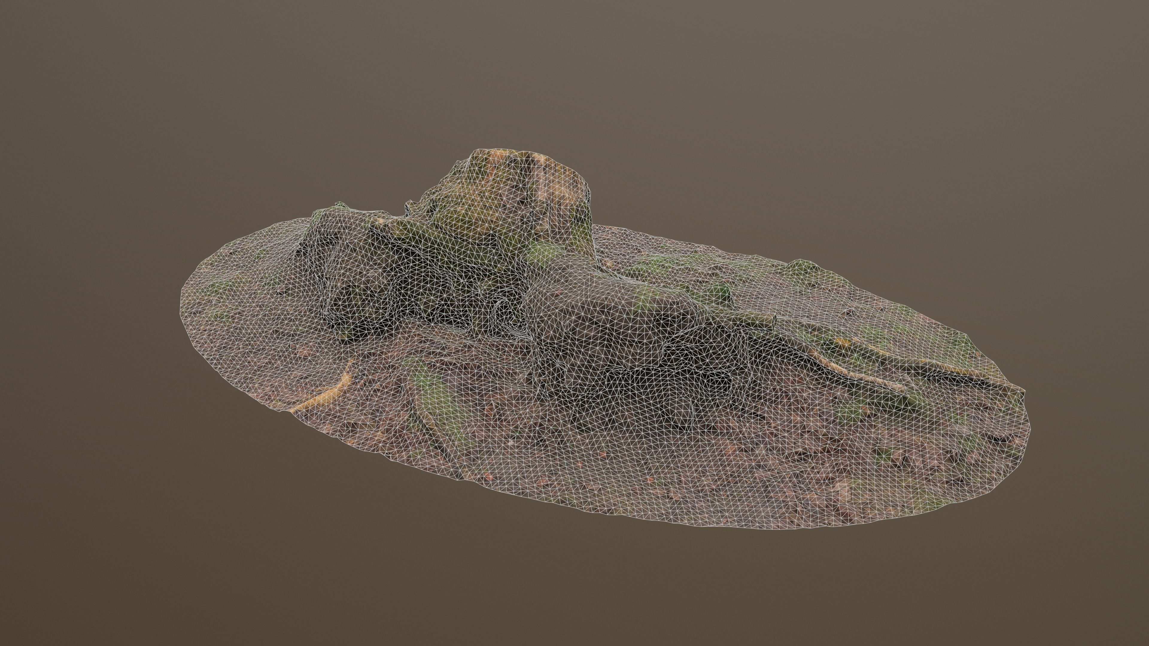 Fallen Tree Trunk Low-poly 3D model_17