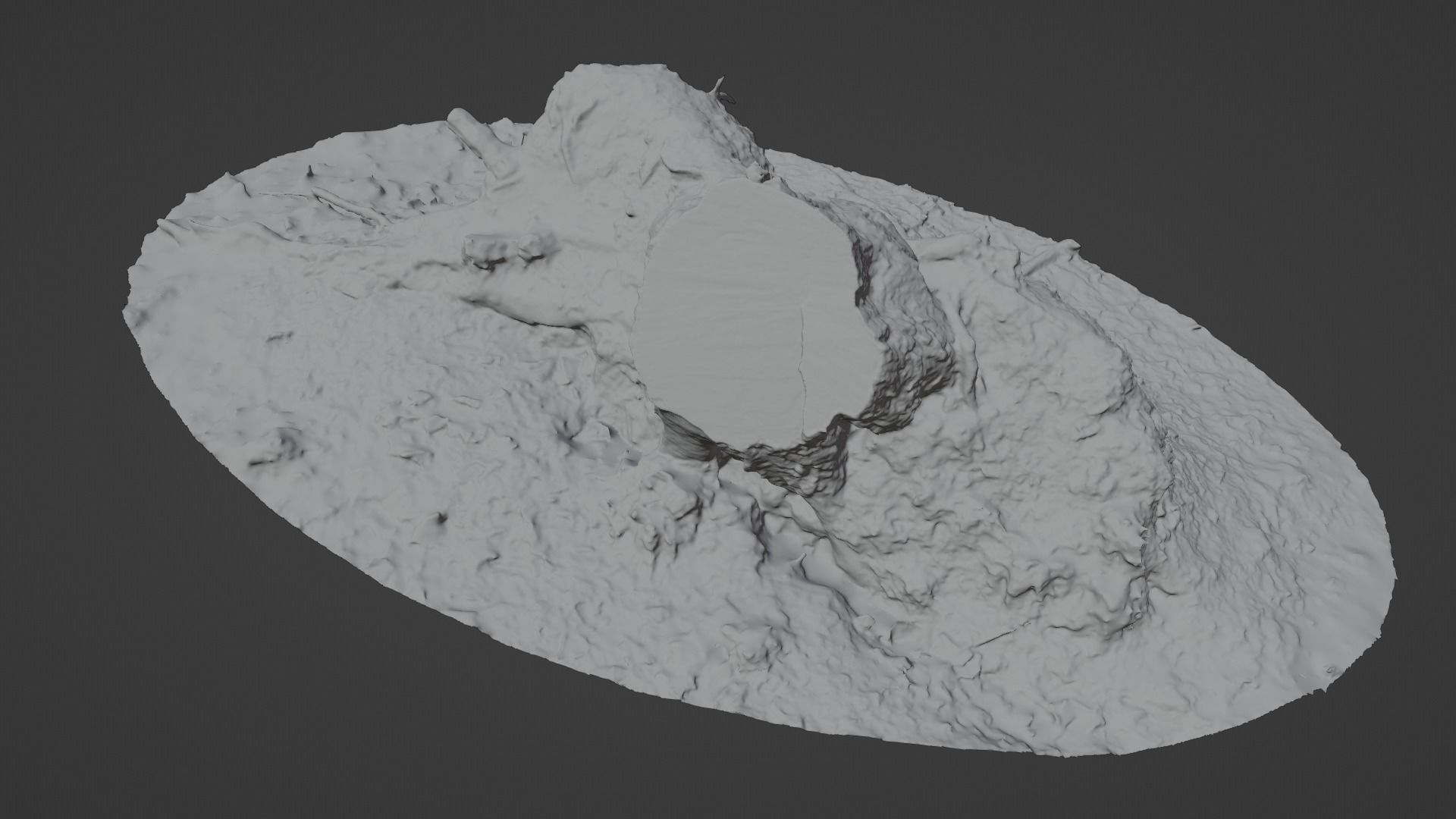 Fallen Tree Trunk Low-poly 3D model_20