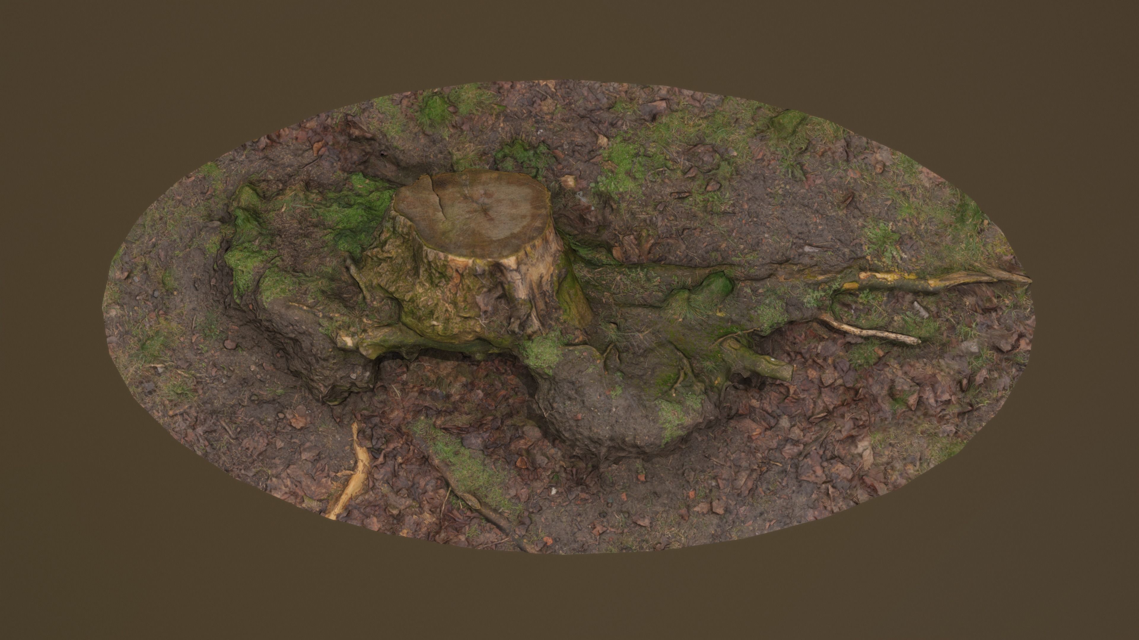 Fallen Tree Trunk Low-poly 3D model_13