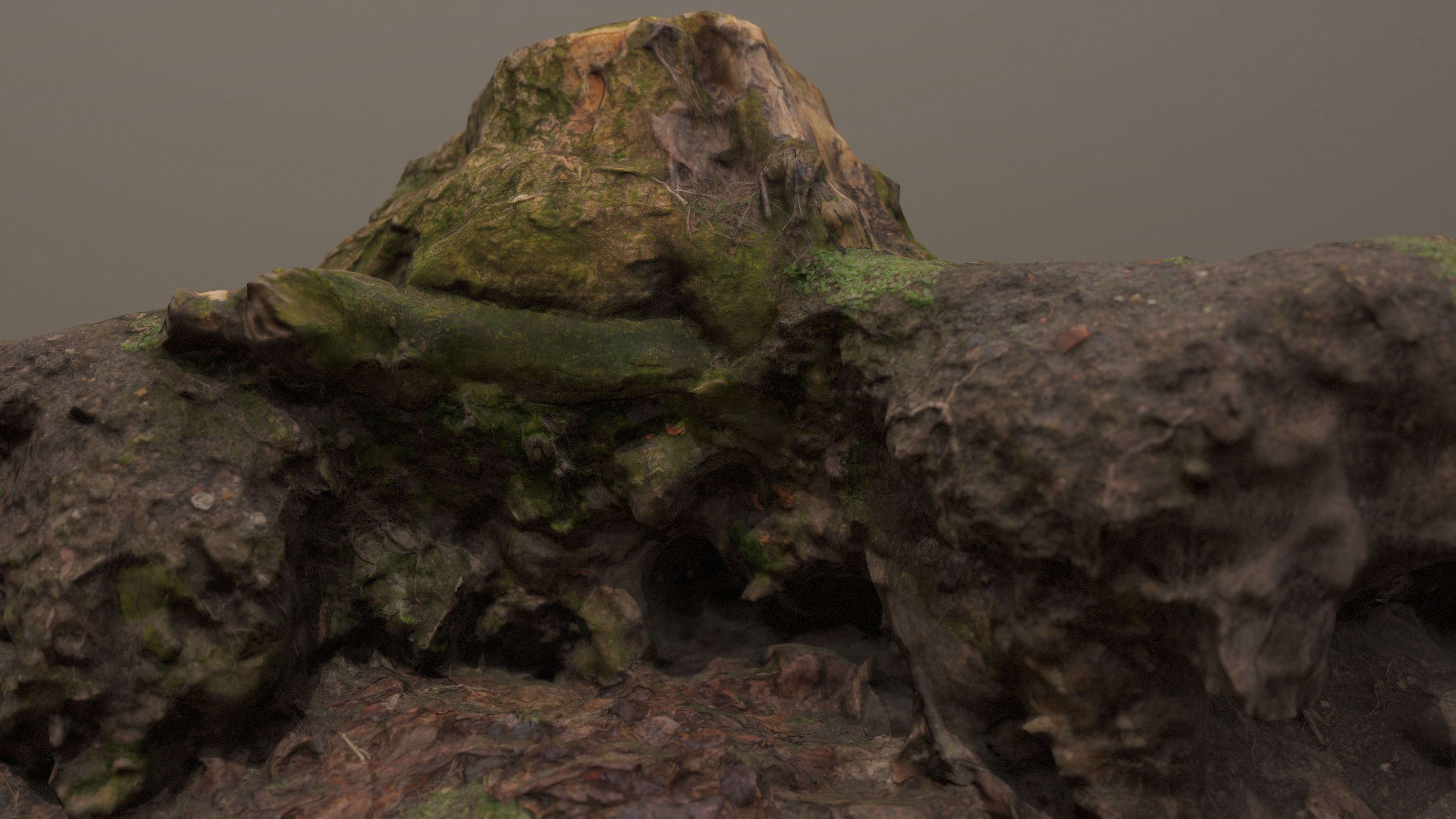 Fallen Tree Trunk Low-poly 3D model_8