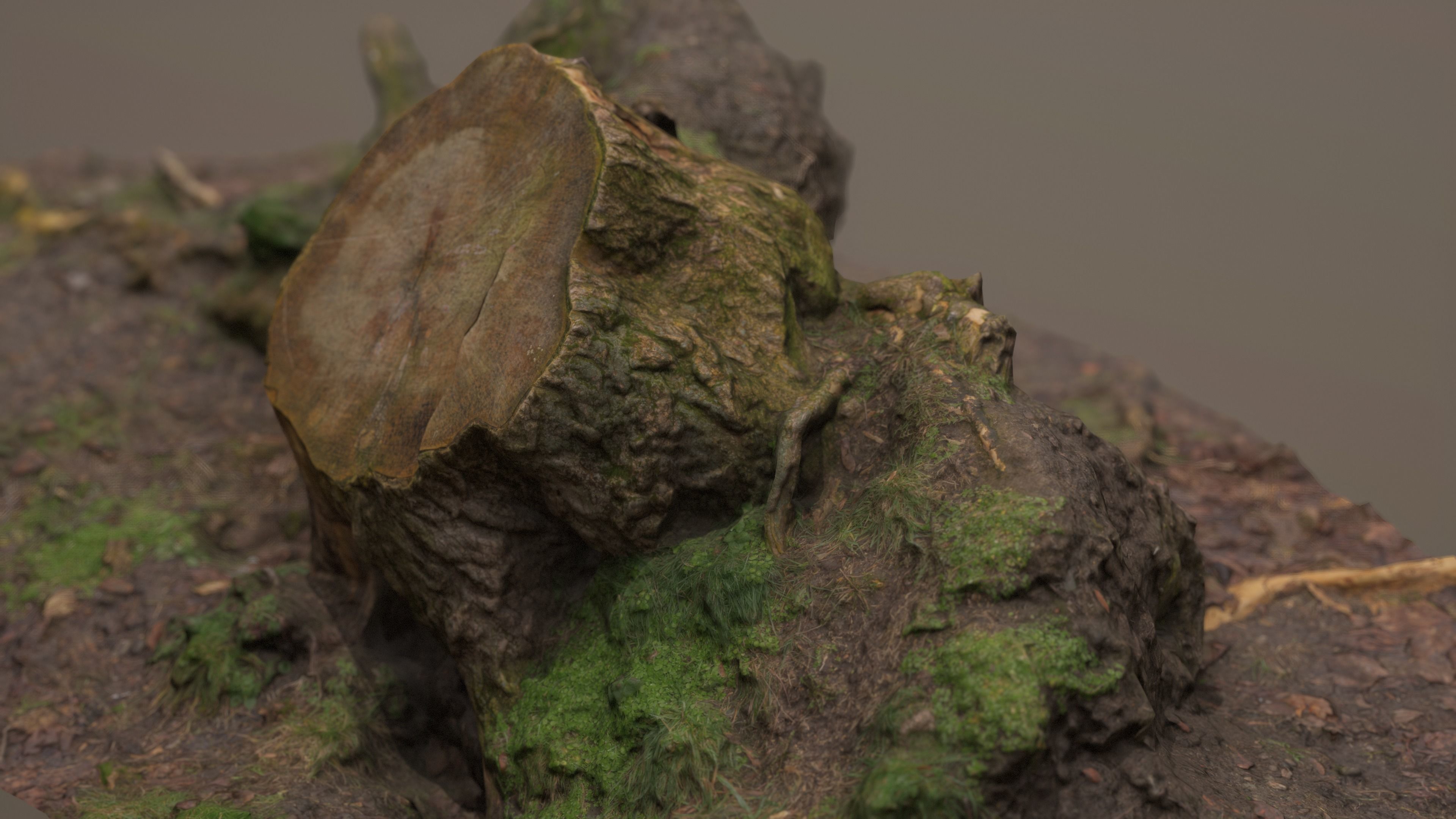 Fallen Tree Trunk Low-poly 3D model_14