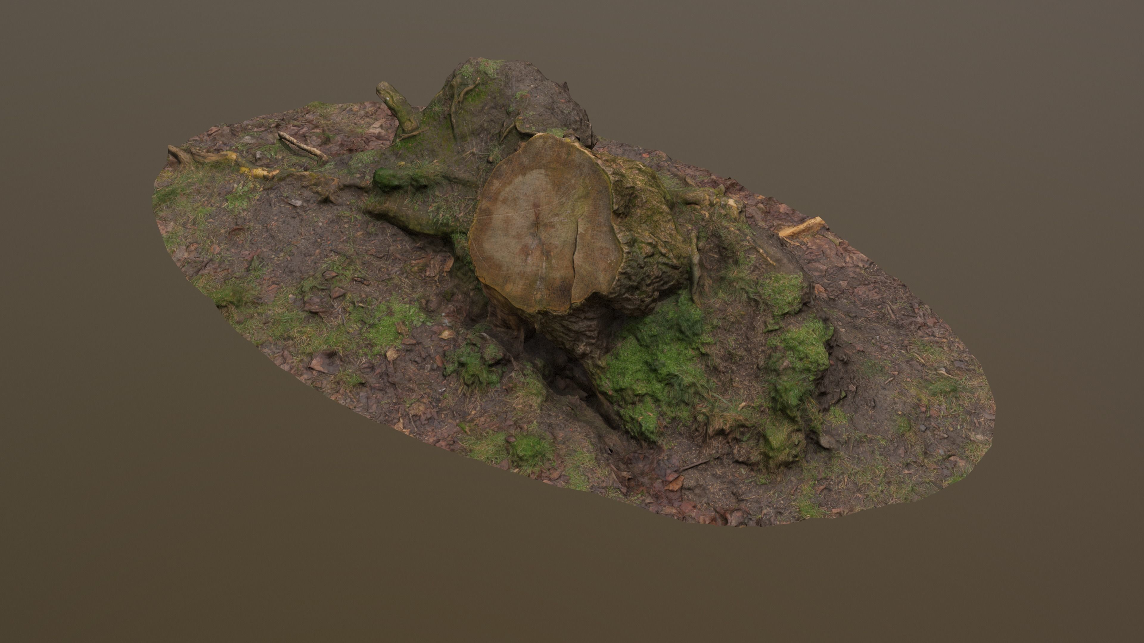 Fallen Tree Trunk Low-poly 3D model_3