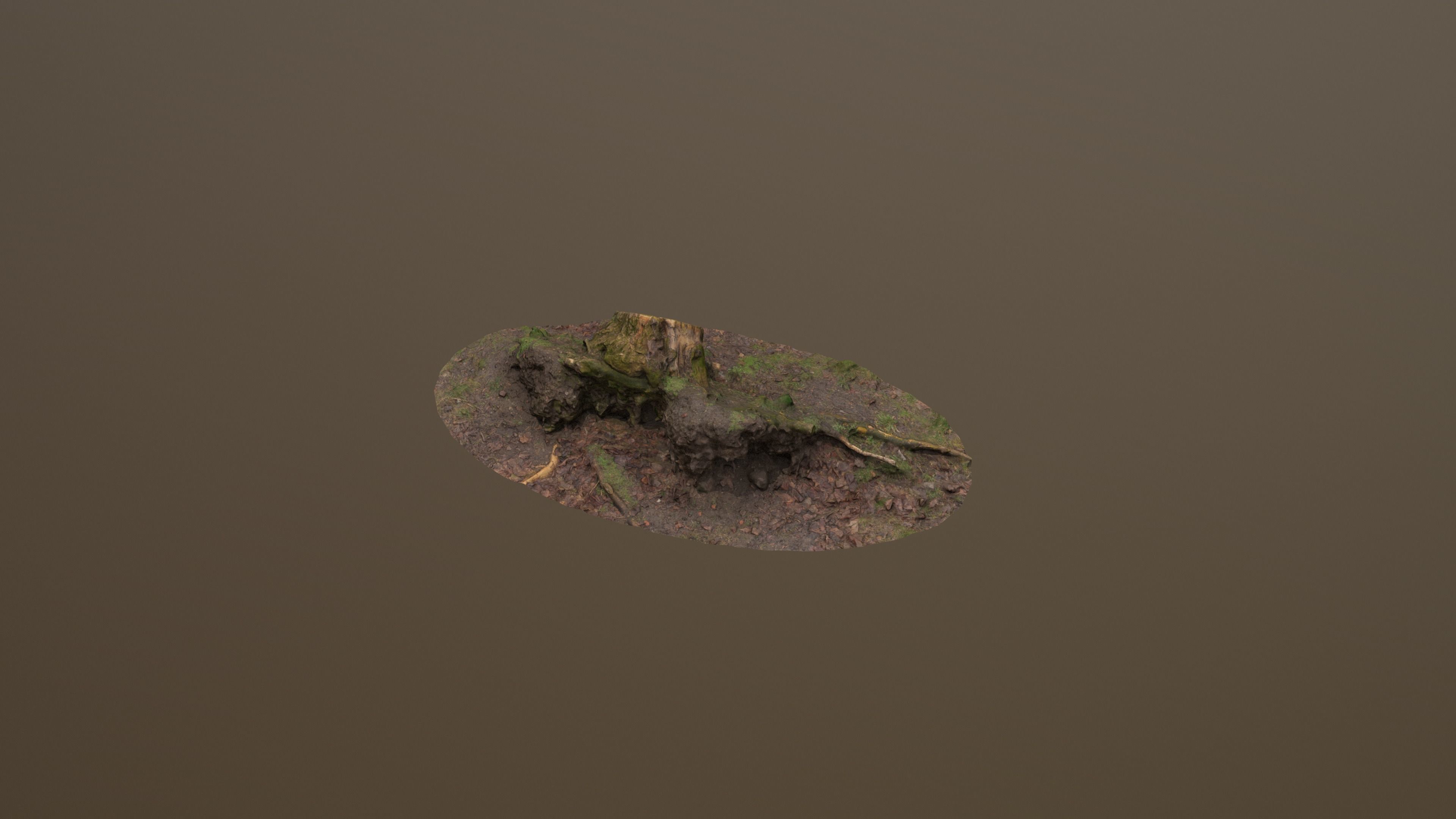 Fallen Tree Trunk Low-poly 3D model_10