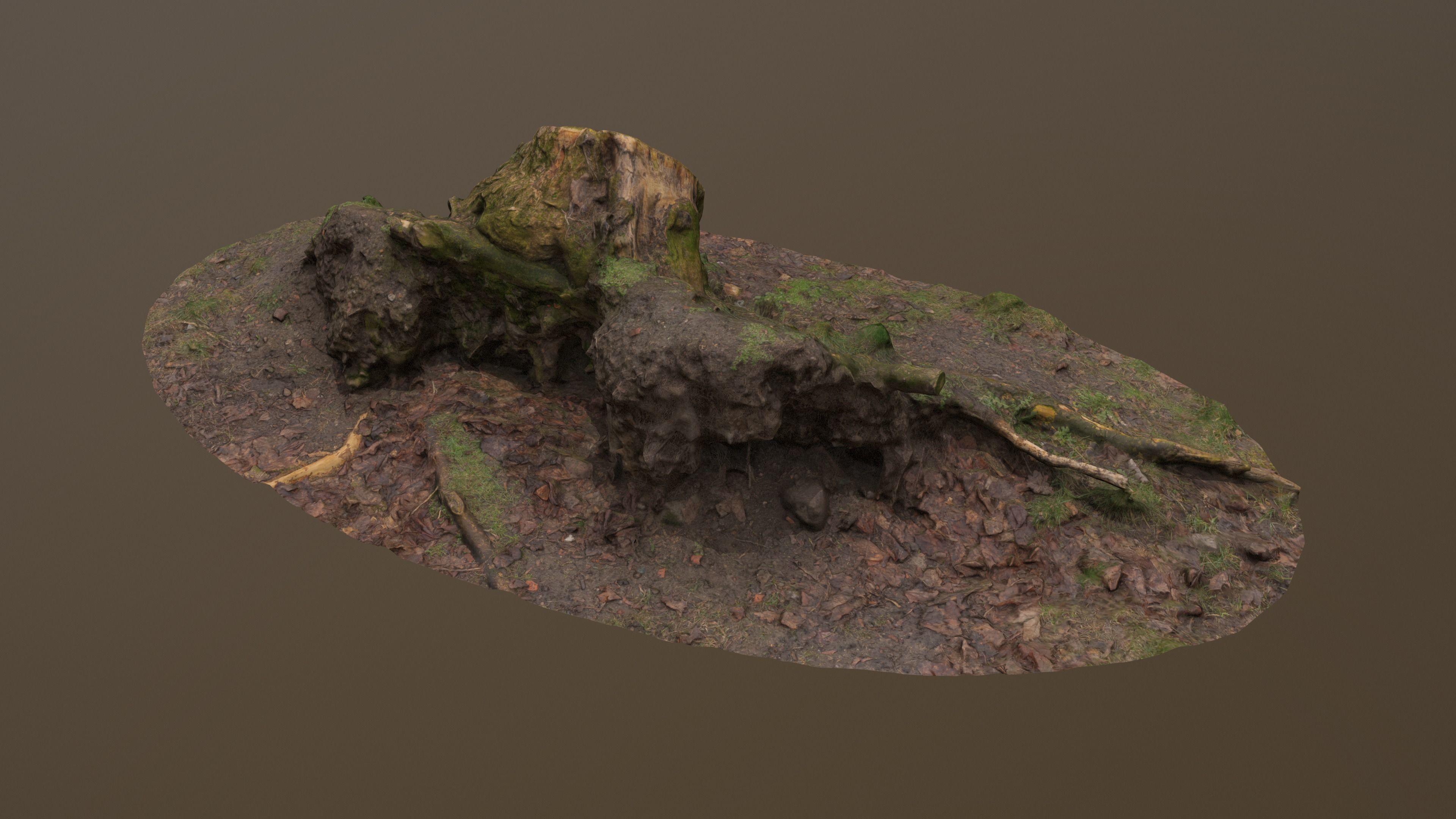 Fallen Tree Trunk Low-poly 3D model_6