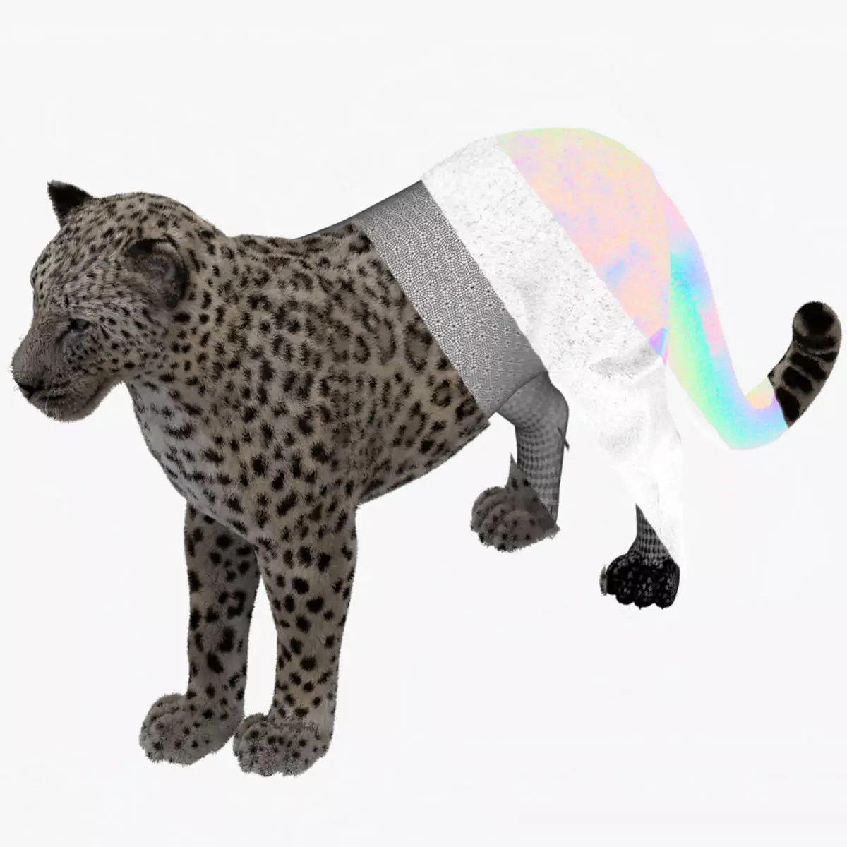 MAYA XGEN FUR Leopard  Low-poly 3D model_0