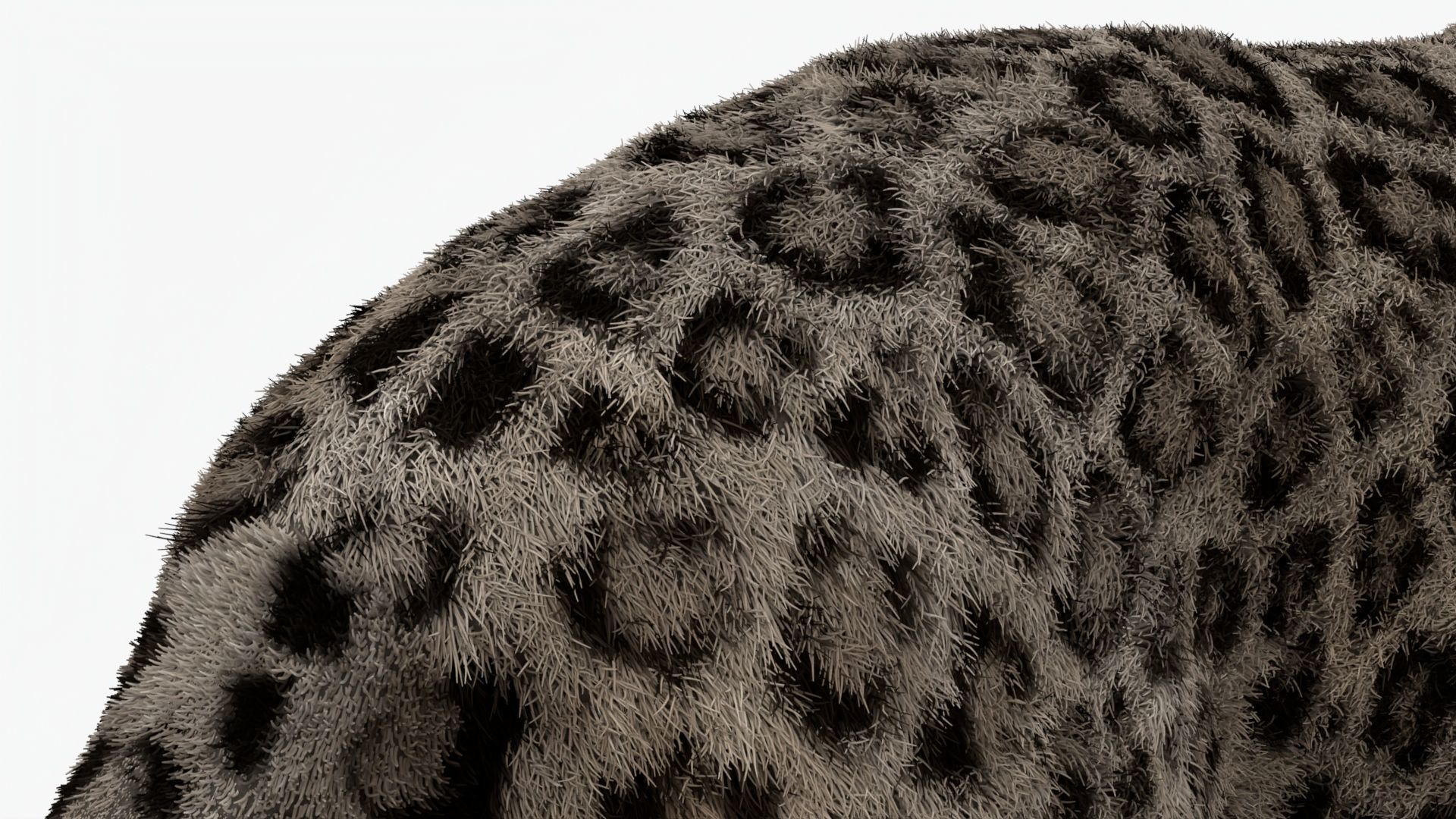 MAYA XGEN FUR Leopard  Low-poly 3D model_5