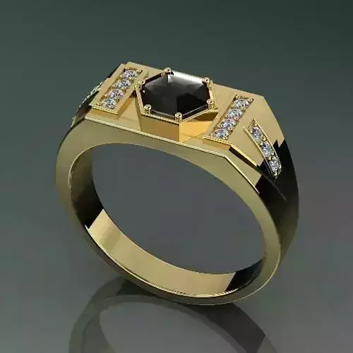 Ring Model 3117