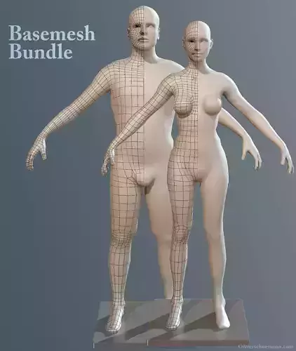 Basemesh Bundle