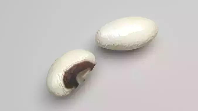 Black Eyed Kidney Bean With White Bean