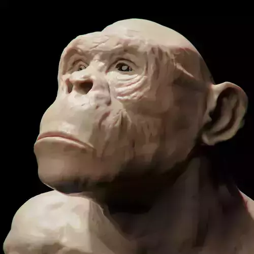 Bust of An Ape