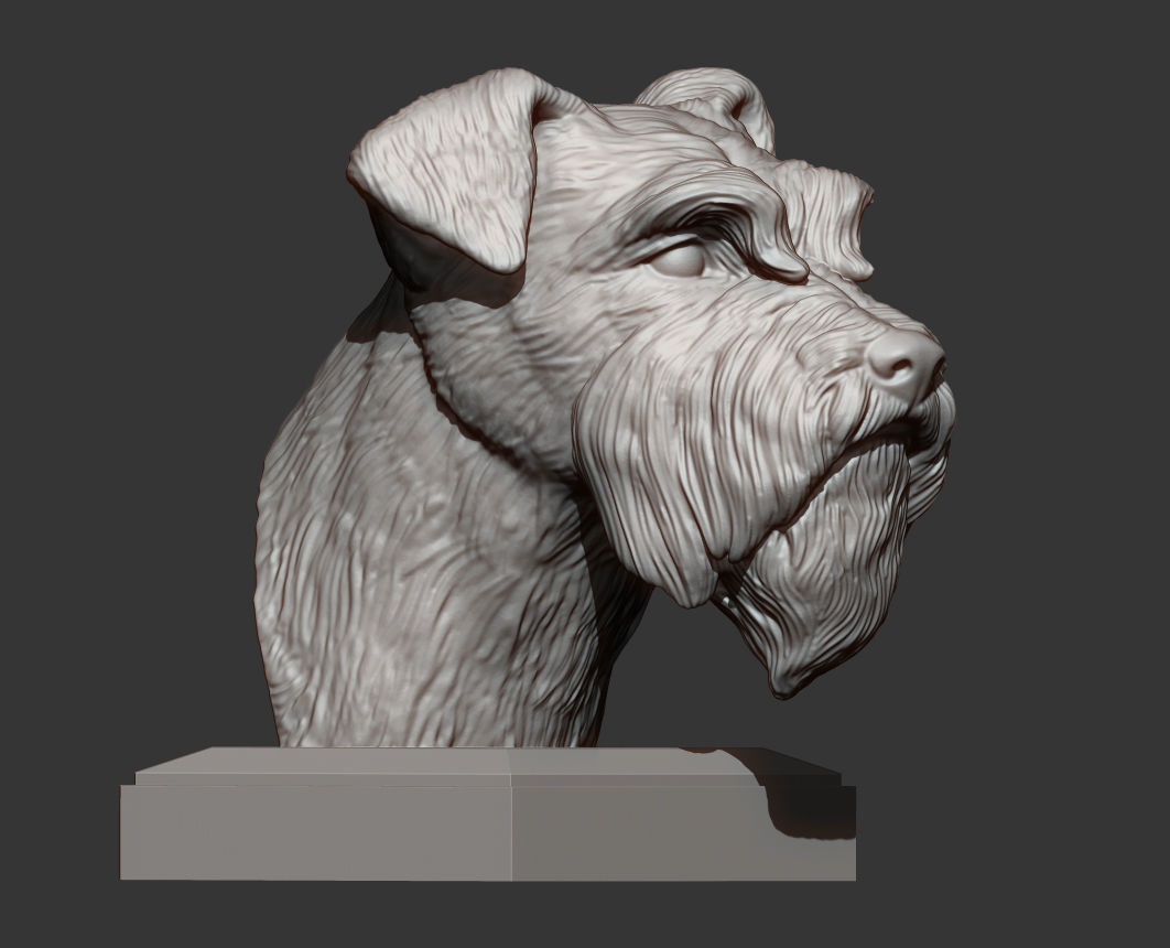 schnauzer 3D print model bust of 3D print model_5