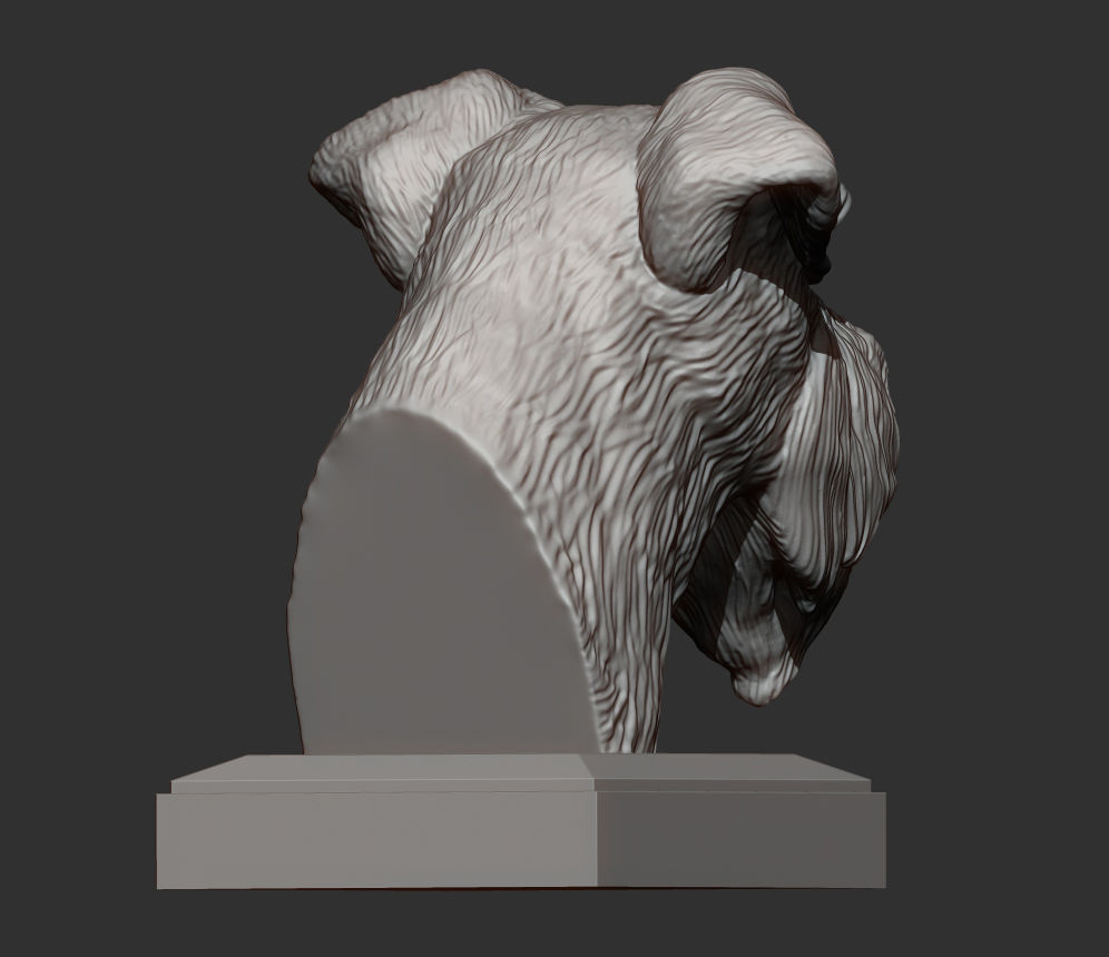 schnauzer 3D print model bust of 3D print model_6