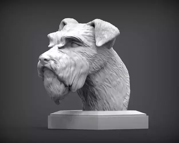 schnauzer 3D print model bust of