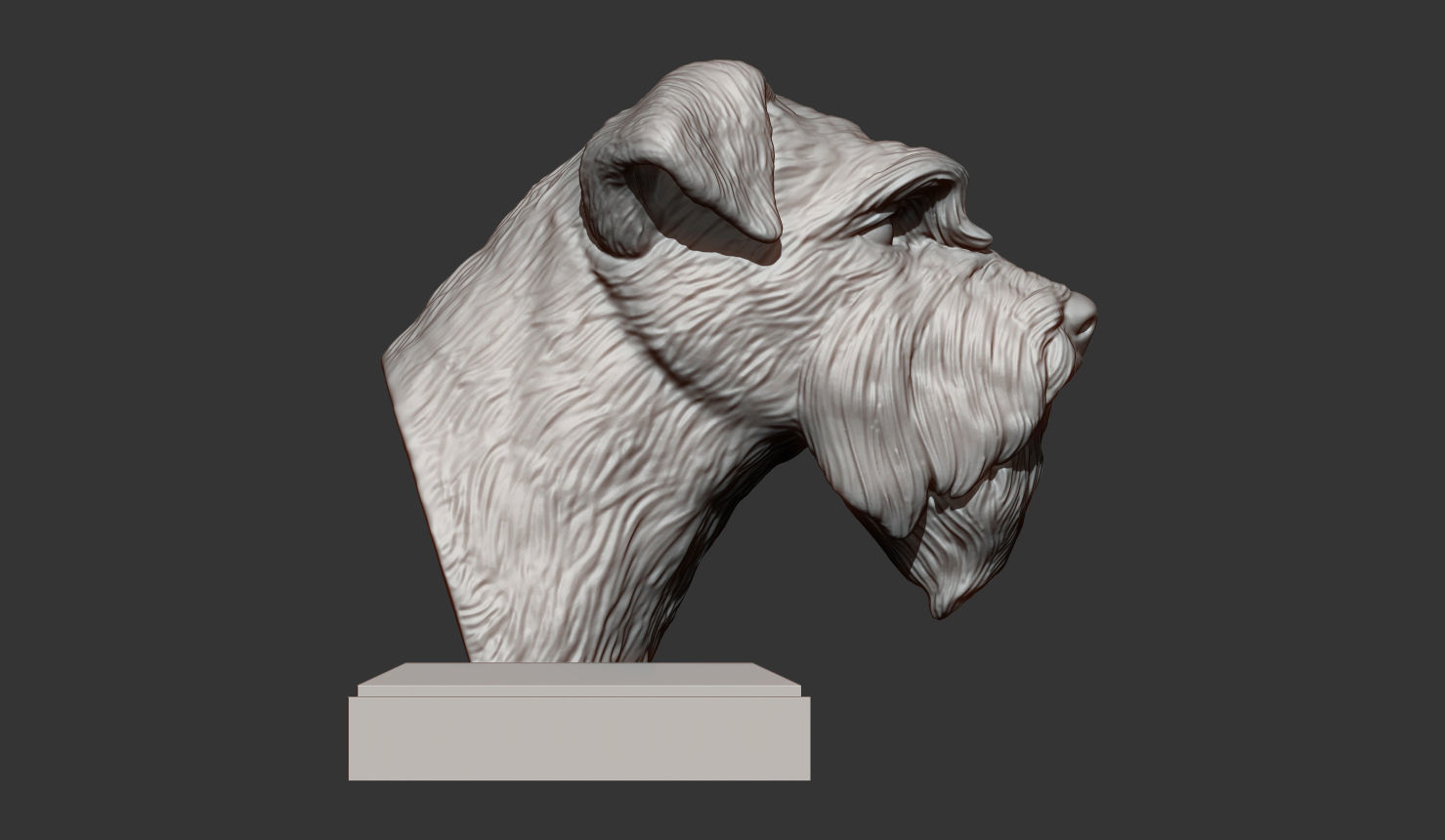 schnauzer 3D print model bust of 3D print model_4