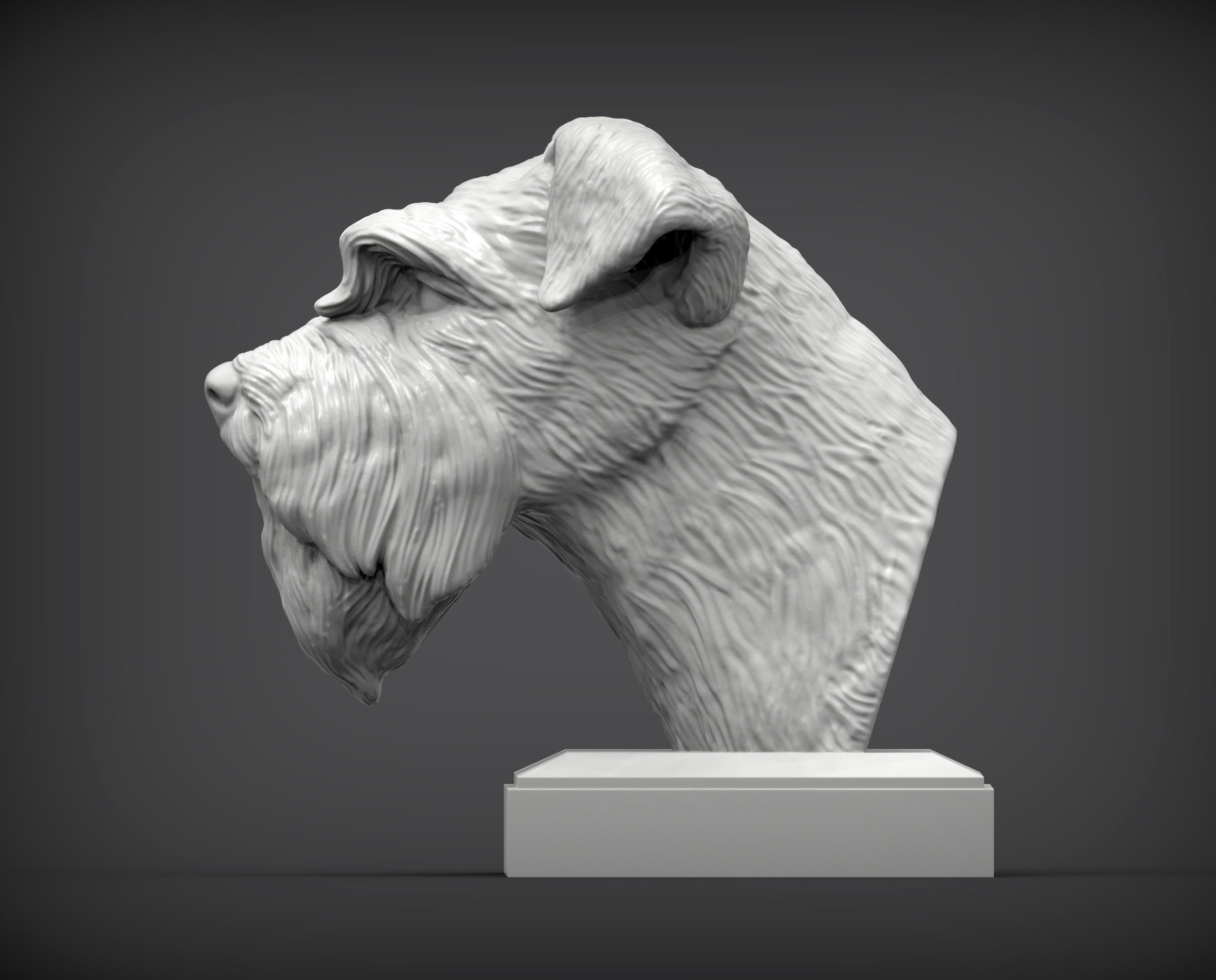 schnauzer 3D print model bust of 3D print model_3