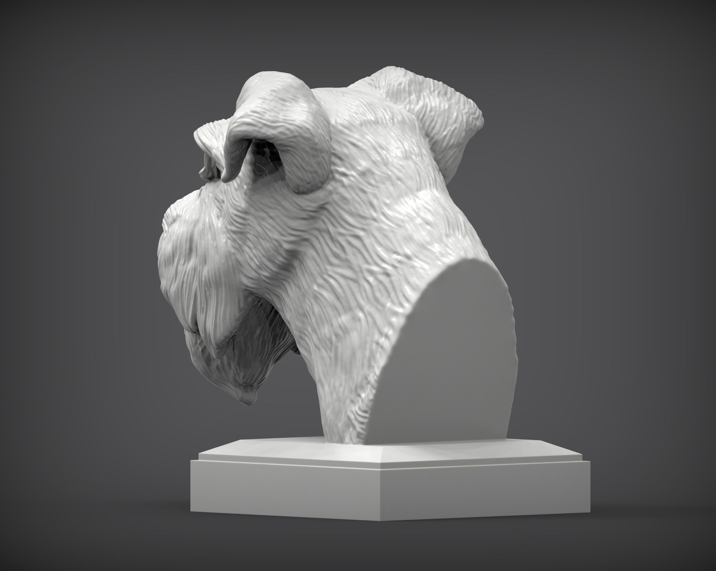 schnauzer 3D print model bust of 3D print model_1