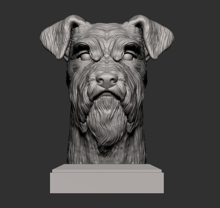 schnauzer 3D print model bust of 3D print model_7