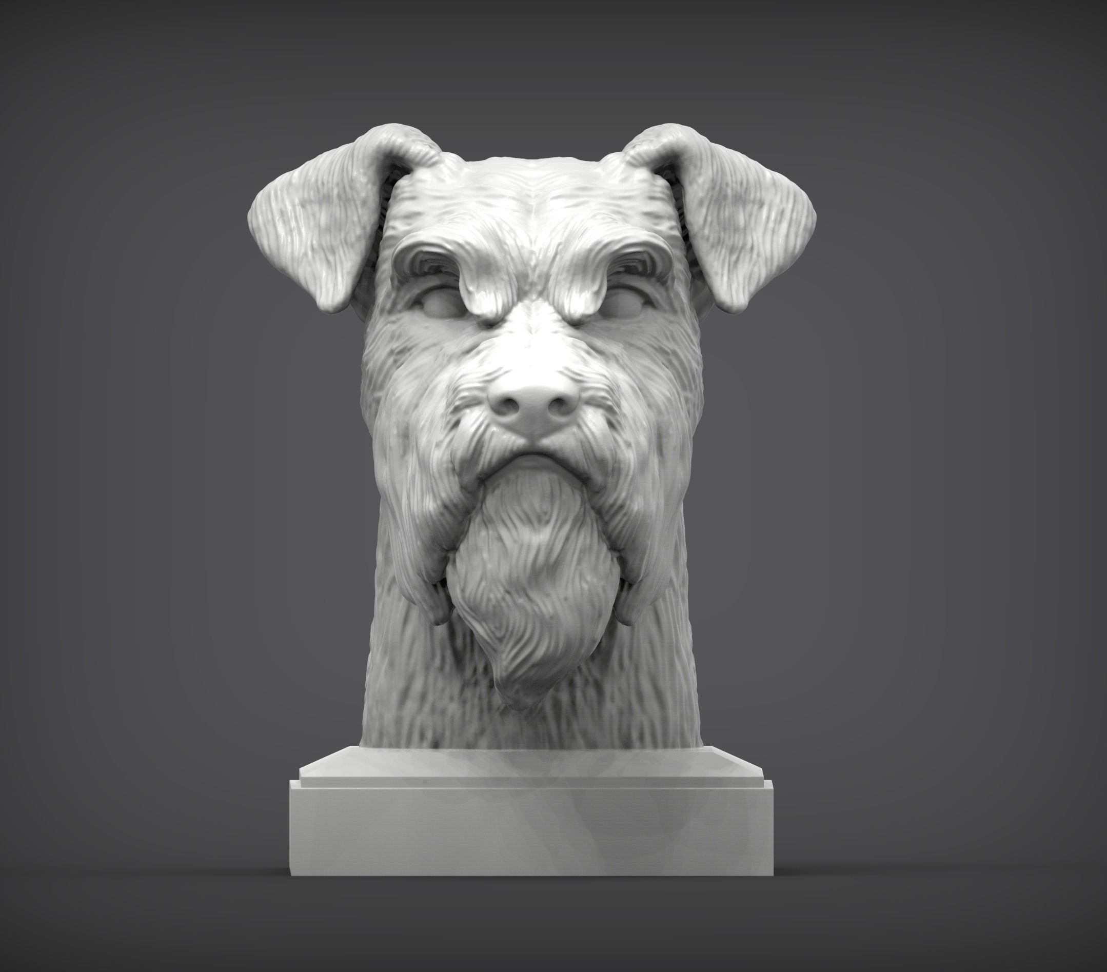 schnauzer 3D print model bust of 3D print model_2