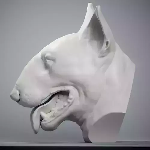 Bull Terrier Head 3D print model