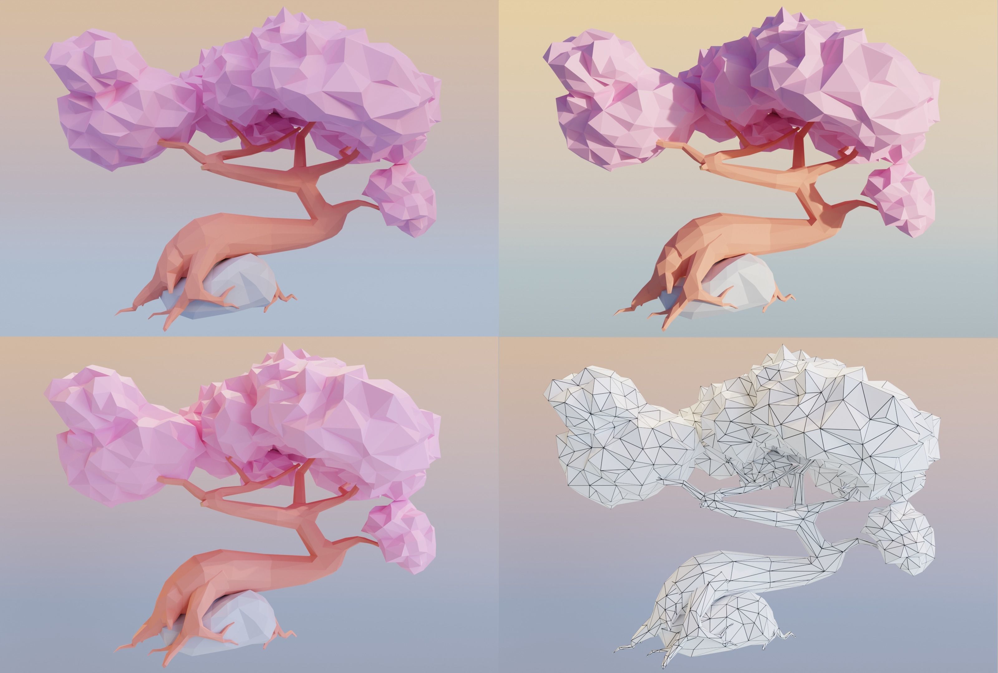 Sakura Stylized Low-poly 3D model_4