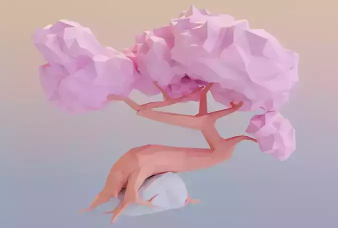 Sakura Stylized Low-poly 3D model