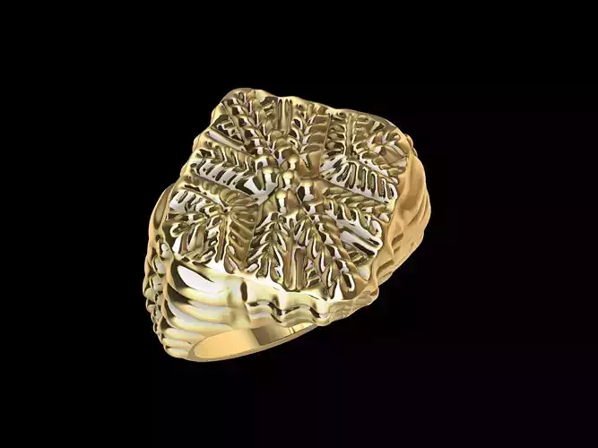 designer signet ring