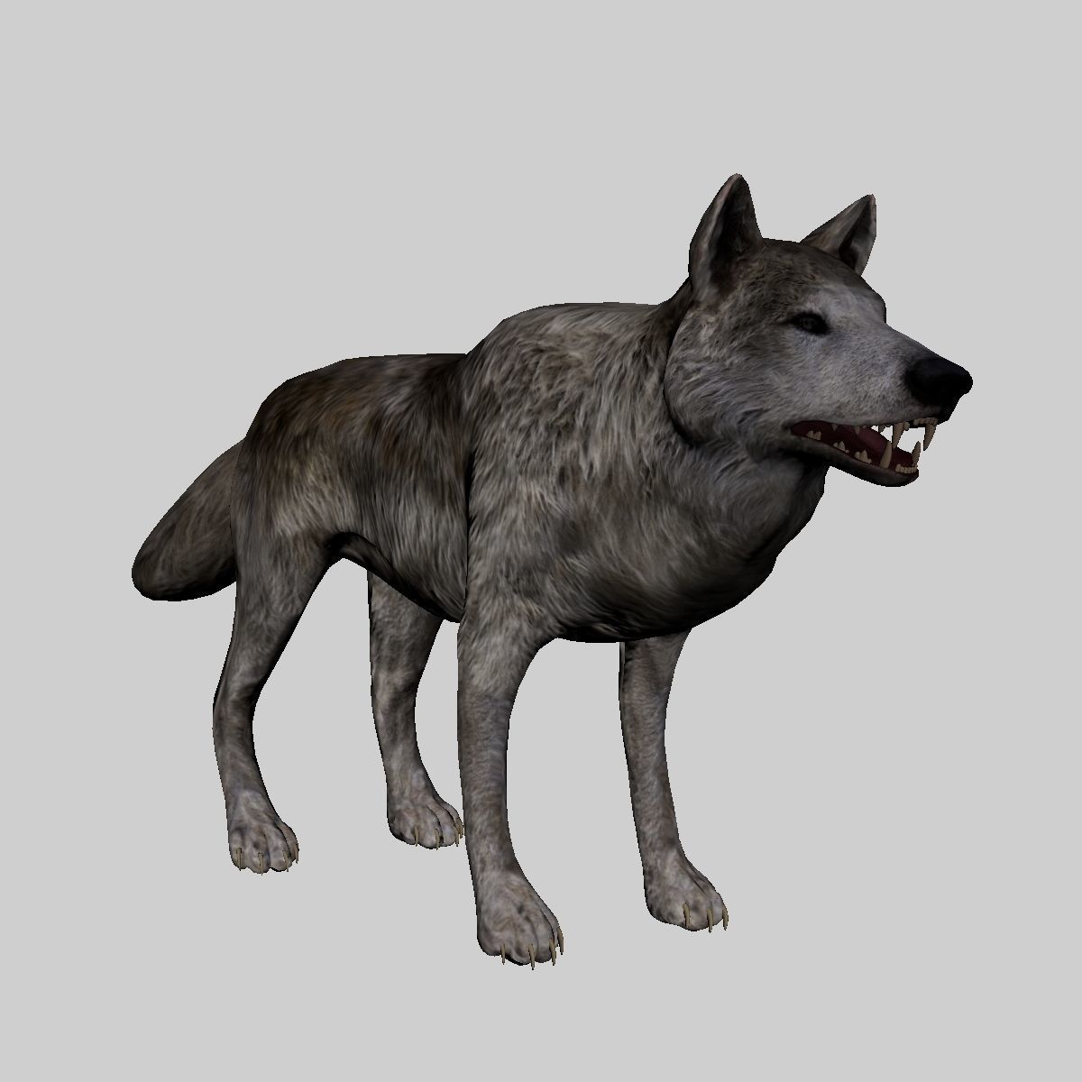Lowpoly Wolf Rigged and Animated for VR AR Games Low-poly 3D model_7