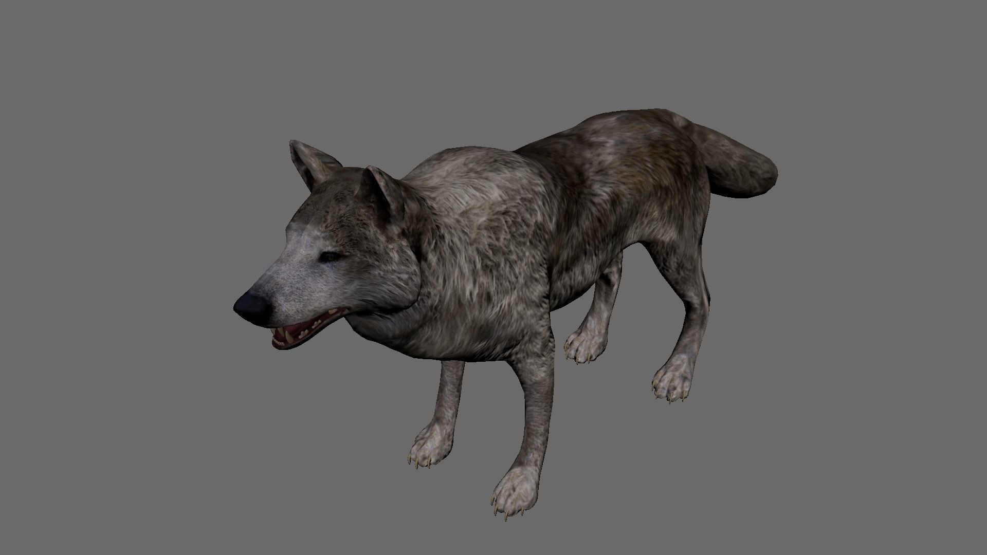 Lowpoly Wolf Rigged and Animated for VR AR Games Low-poly 3D model_5